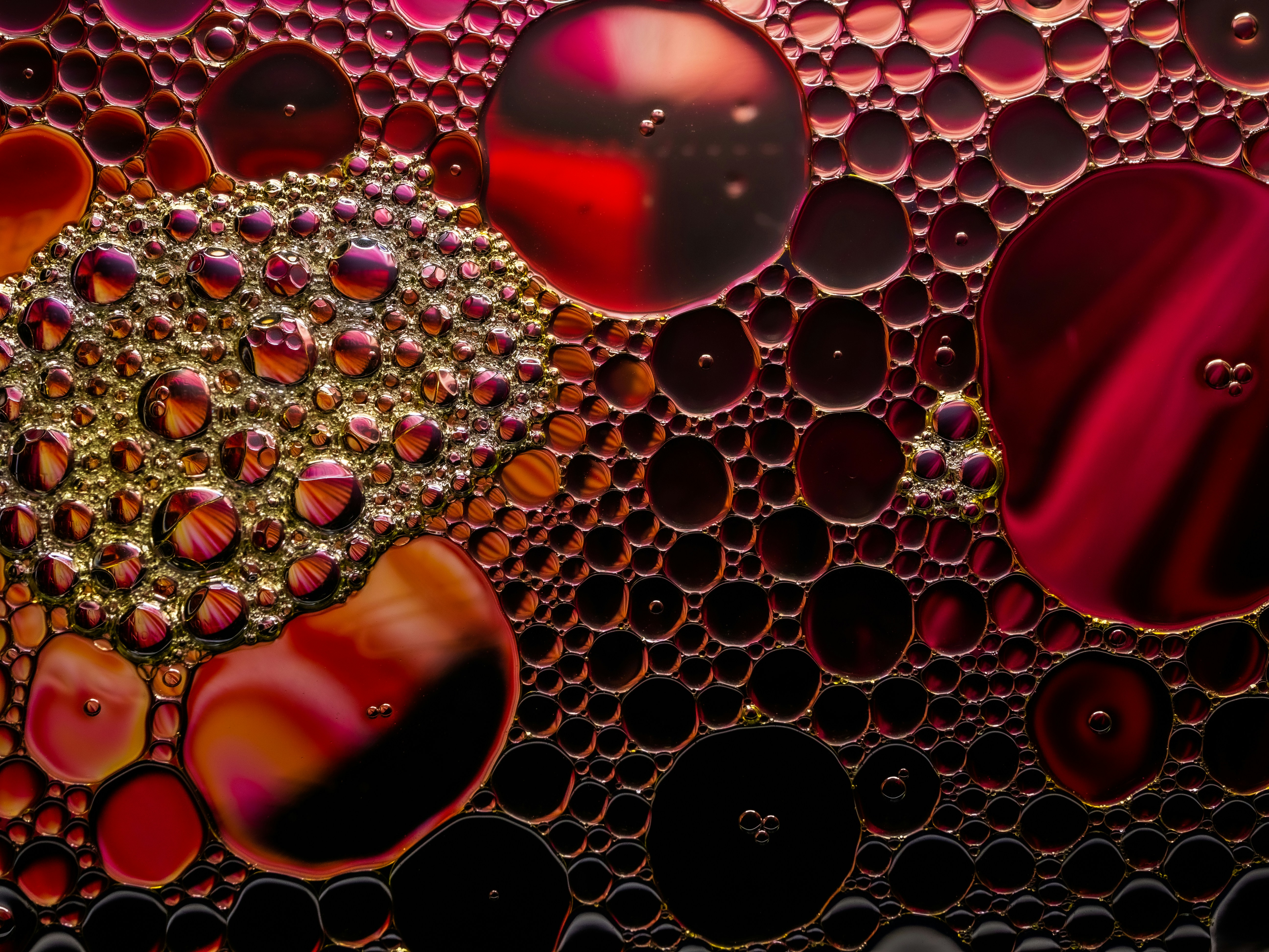 Photo by michael_marais