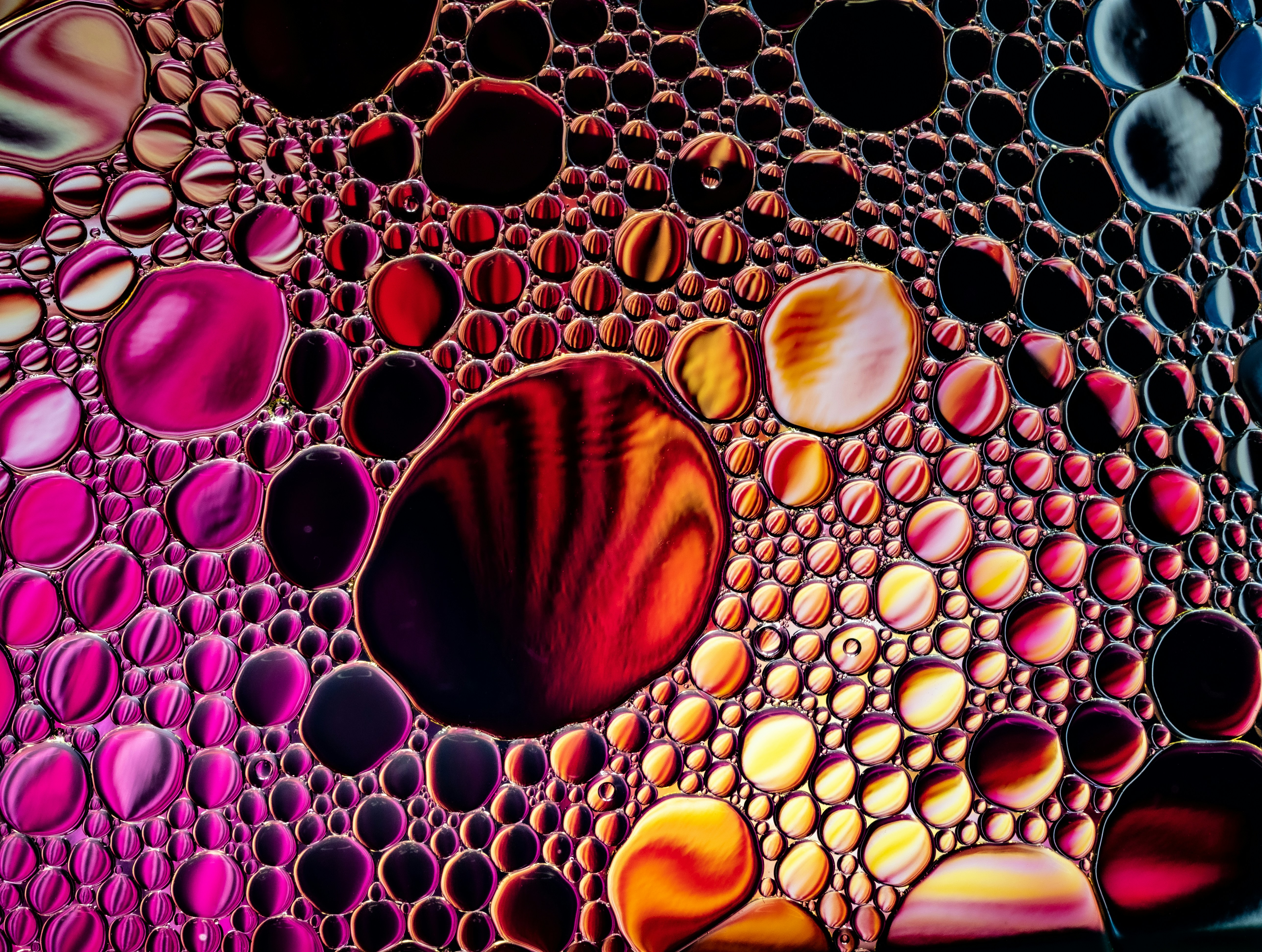 Photo by michael_marais