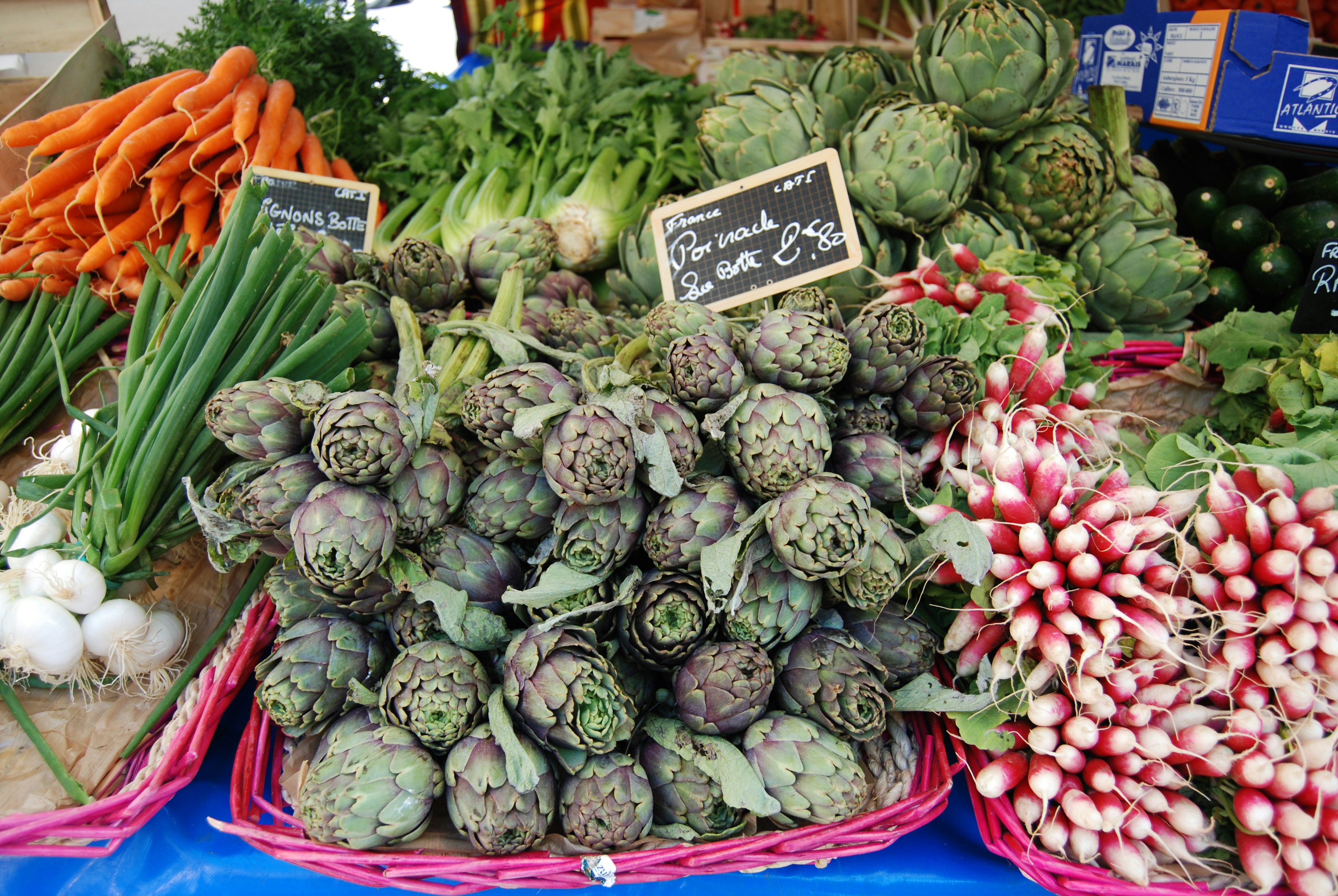 Artichokes and radishes with price cards
