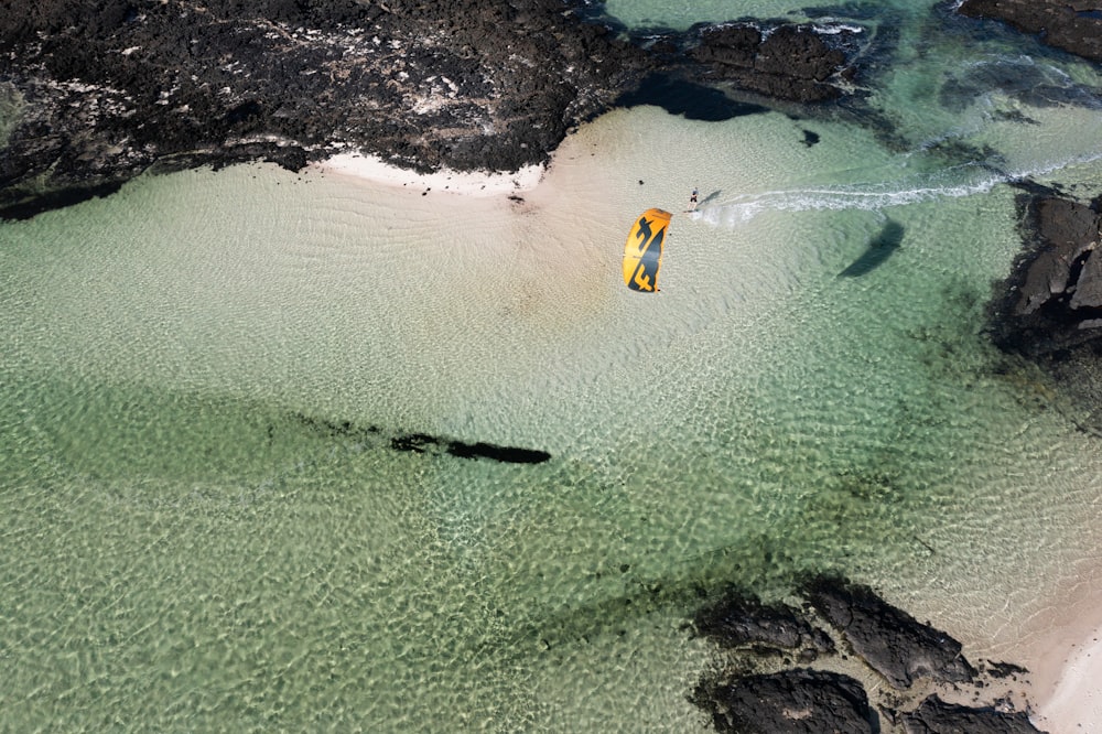 people on beach during daytime