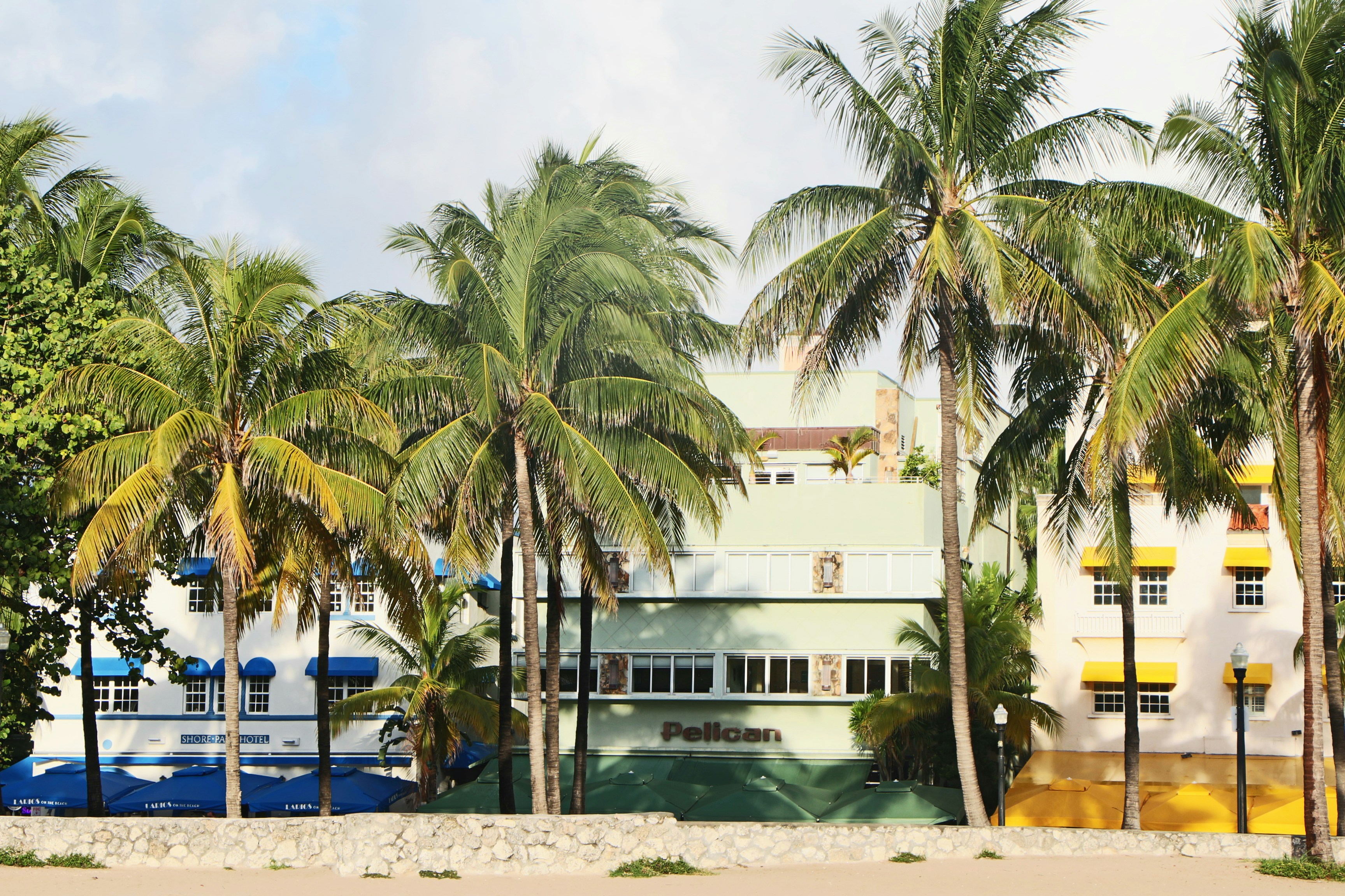 white concrete building near palm trees during daytime