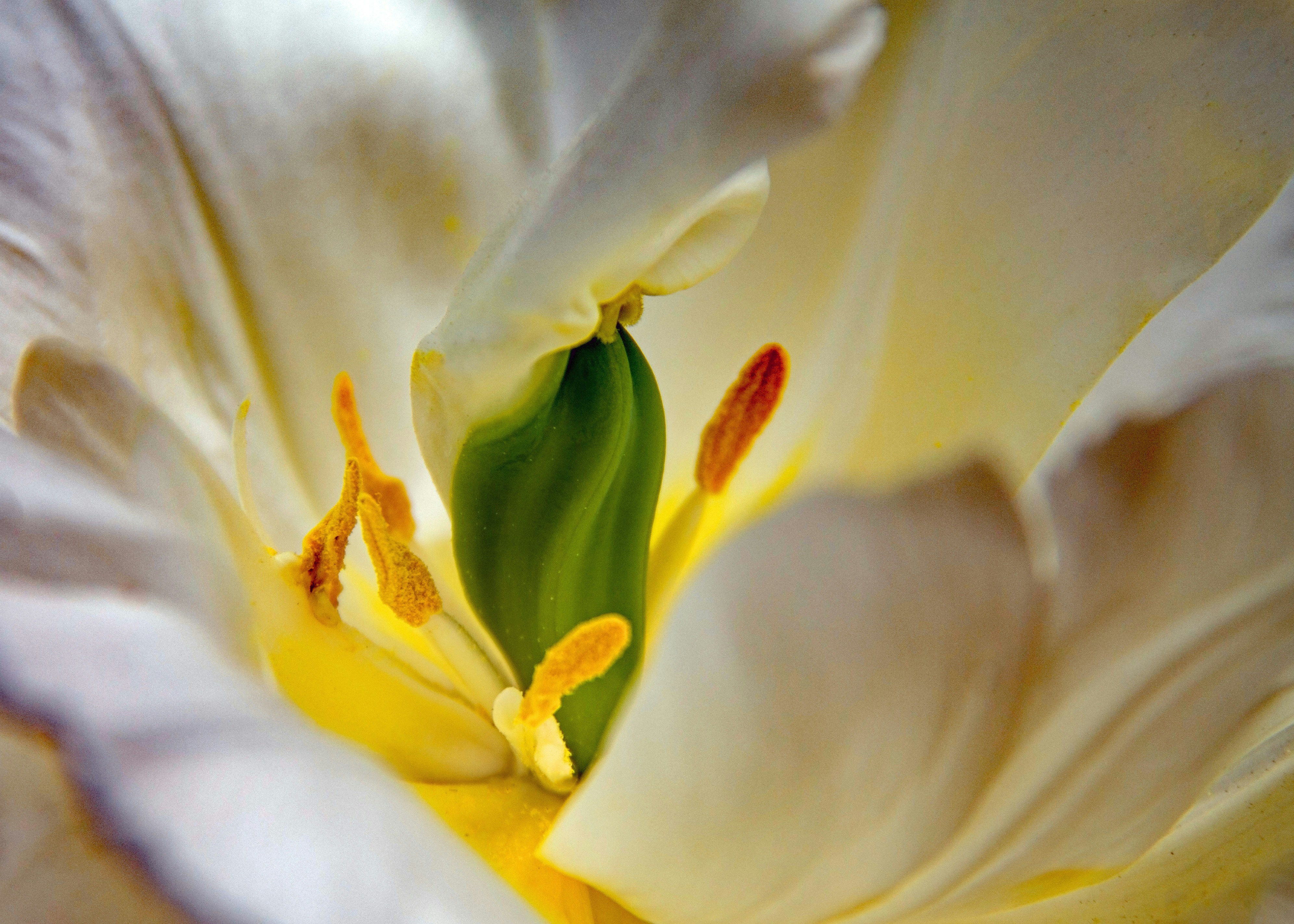 Photo by fotolunatics