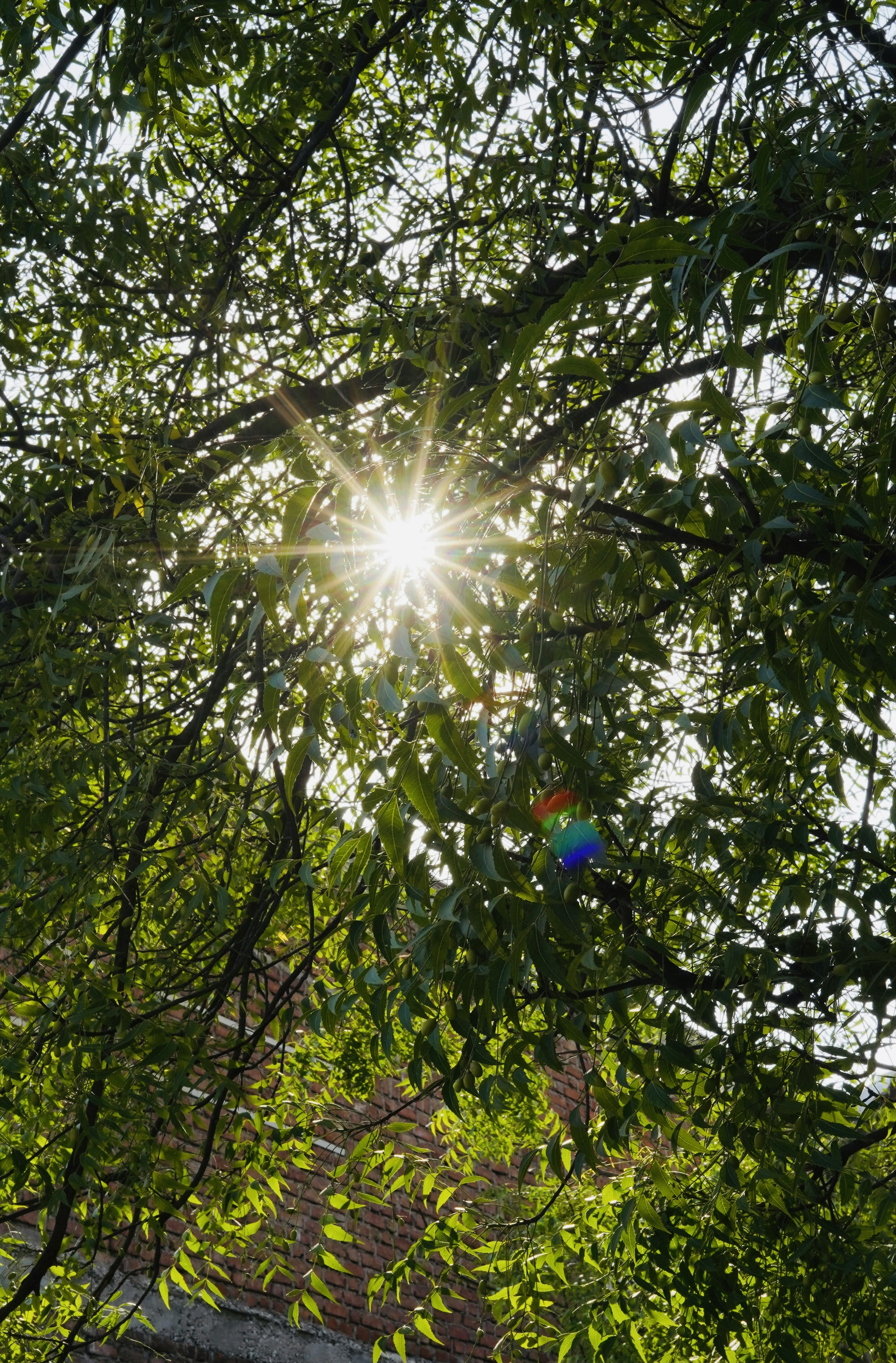 Photo by shyammishra94