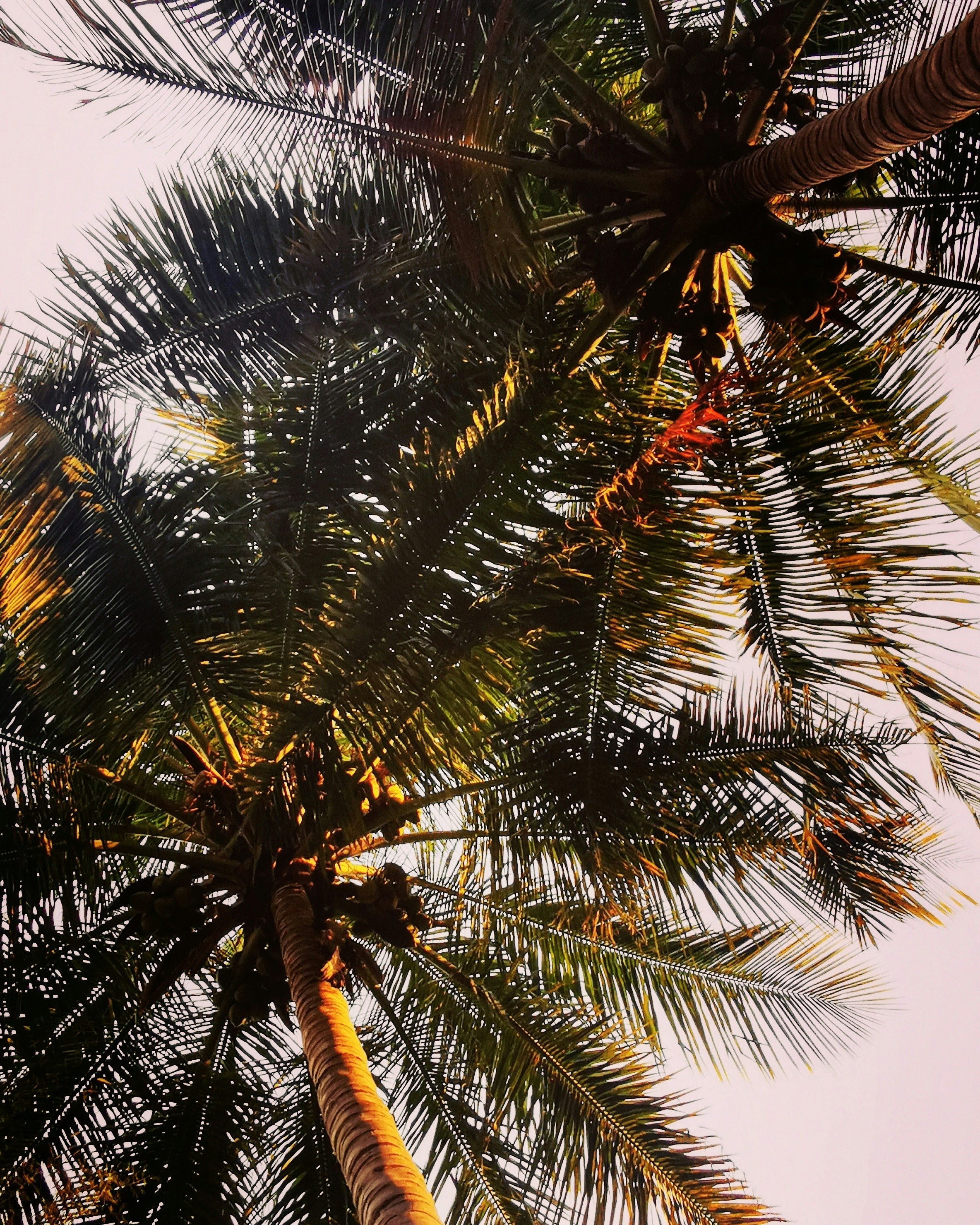 Photo by liz_iiie