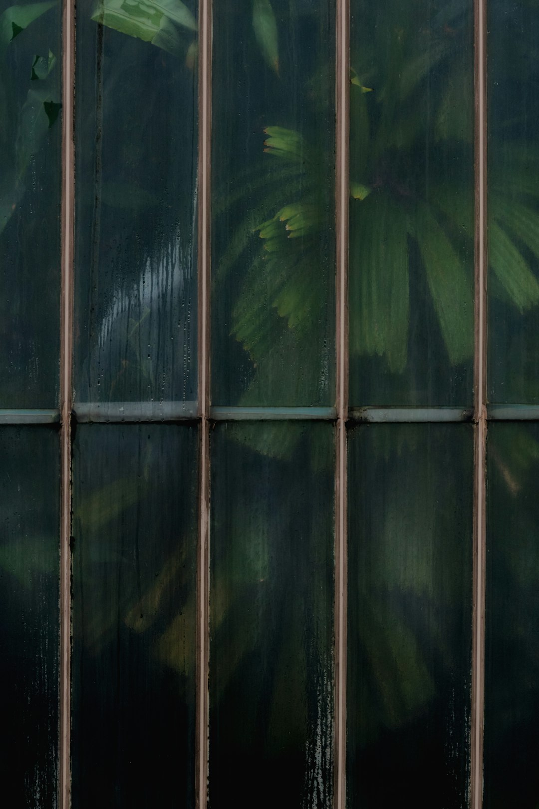 green and yellow leaf on black metal frame