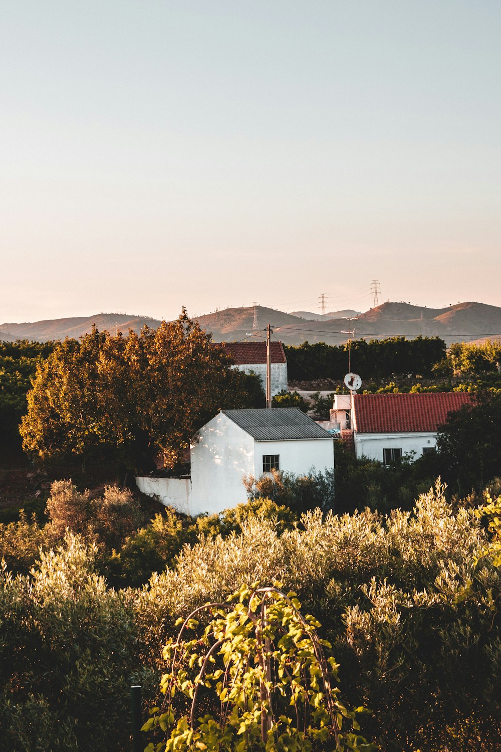 white and brown house near green trees during daytime