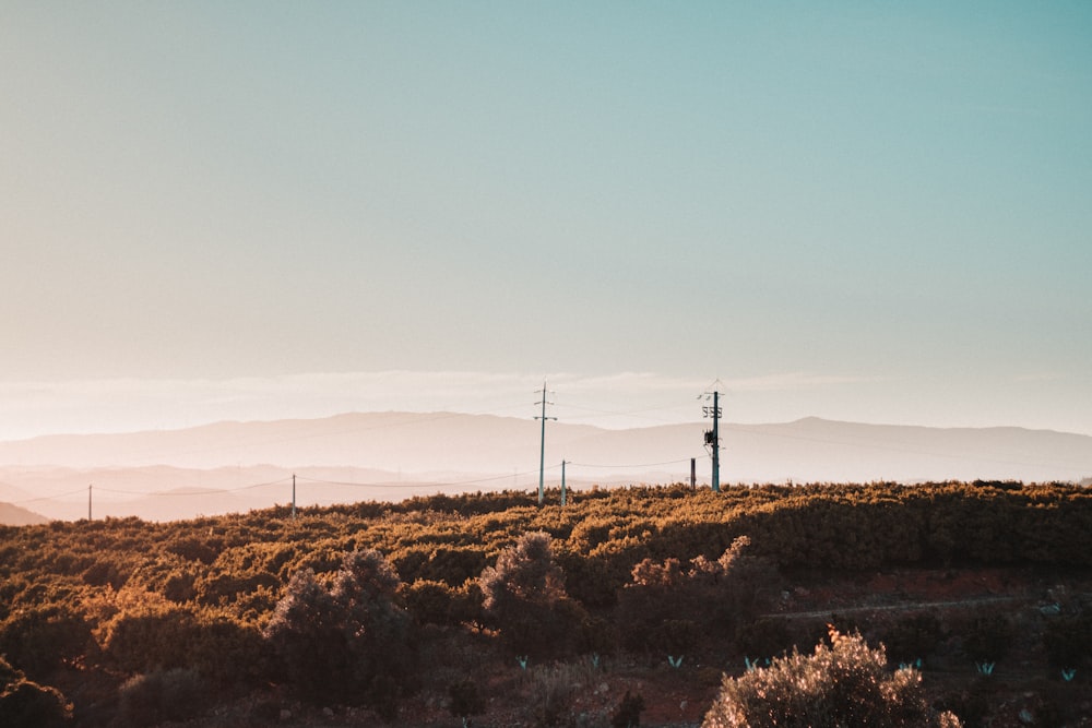 wind turbines on brown grass field during daytime