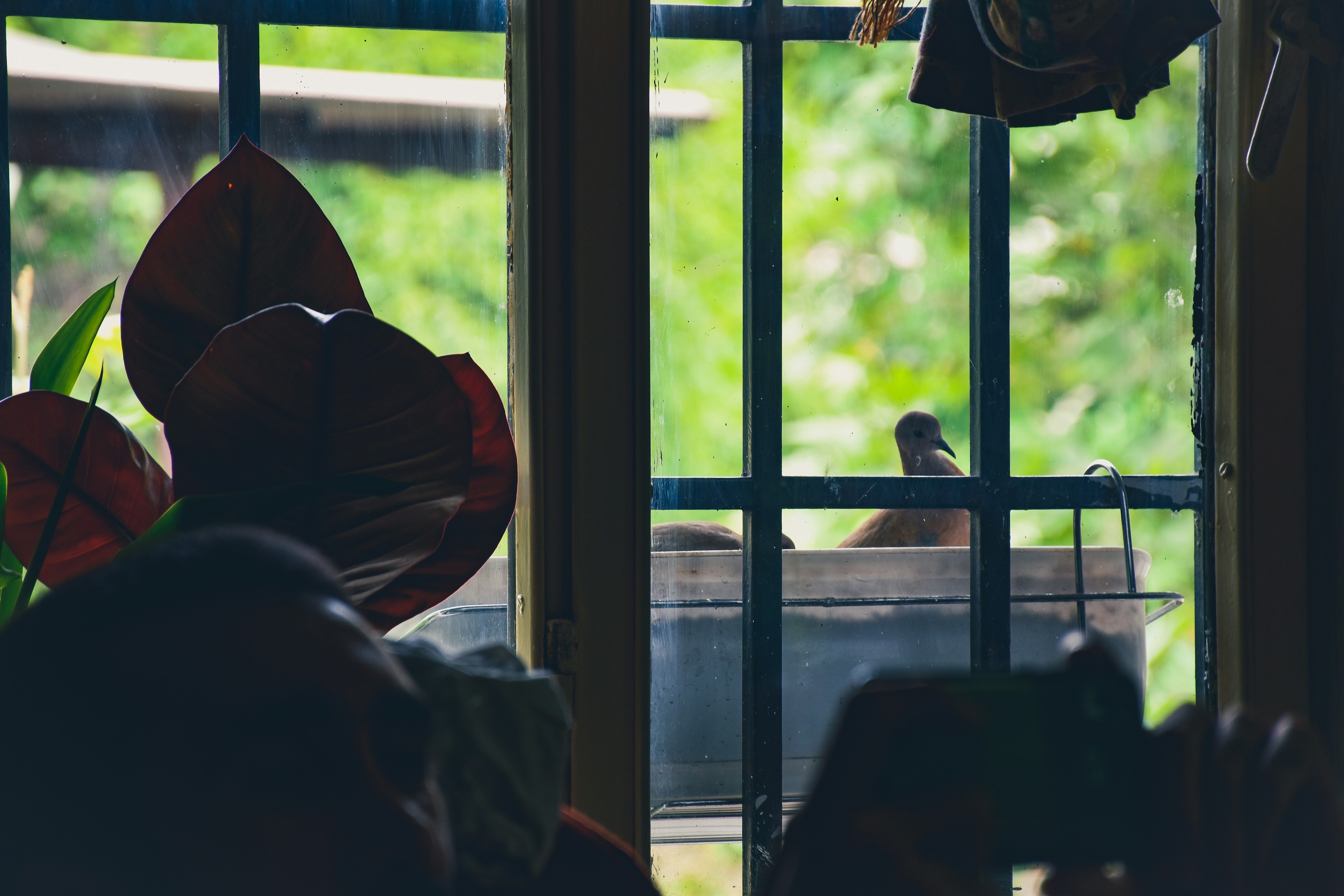 Photo by nasimkeshmiri