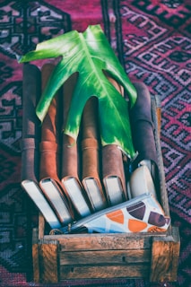 A wooden box holds six brown leather-bound books, neatly arranged side by side. A large green leaf is placed on top, adding a natural element. In front of the books, there is a colorful pouch with abstract patterns. The background features a richly patterned rug in shades of red and pink.