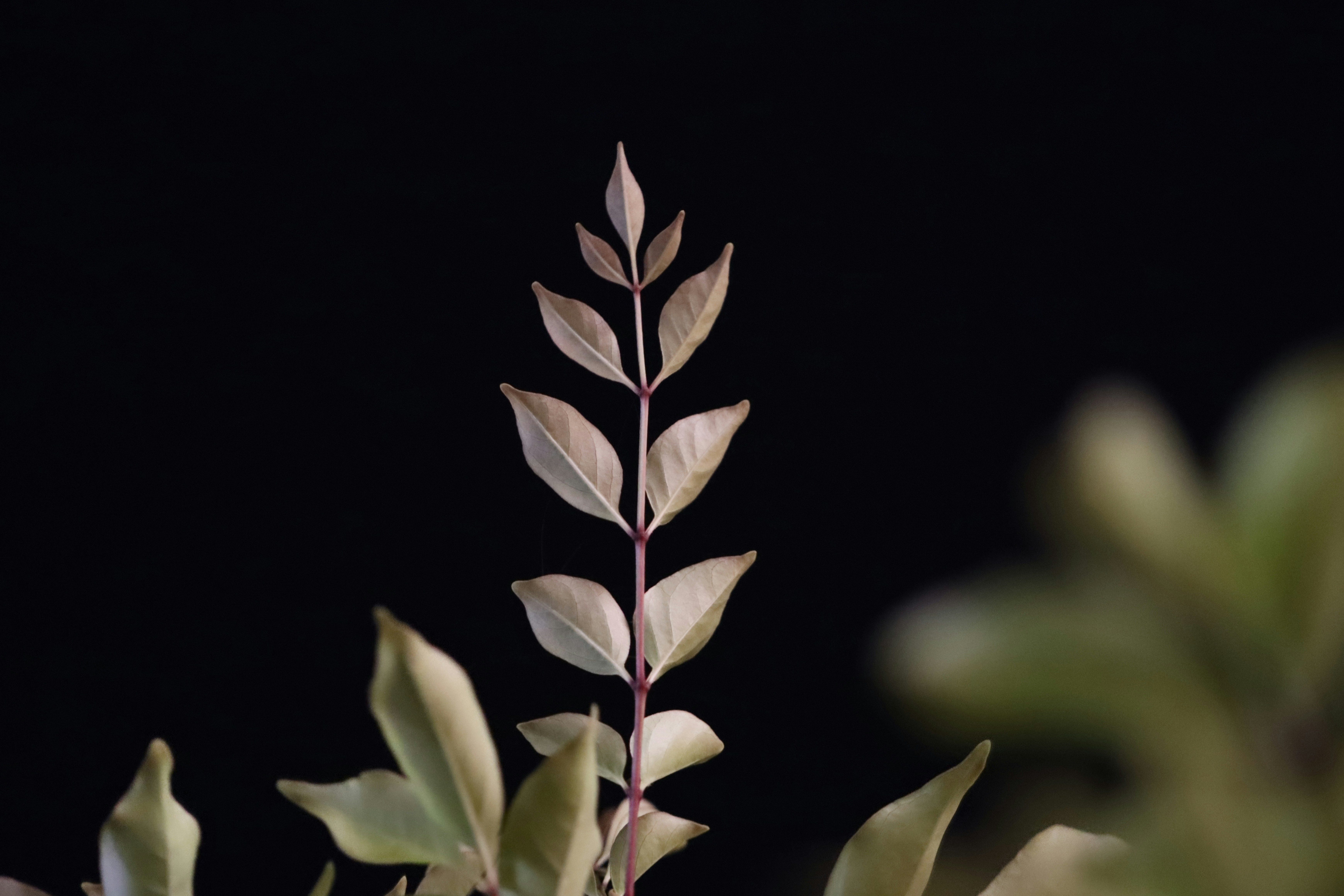 Photo by santaclausx