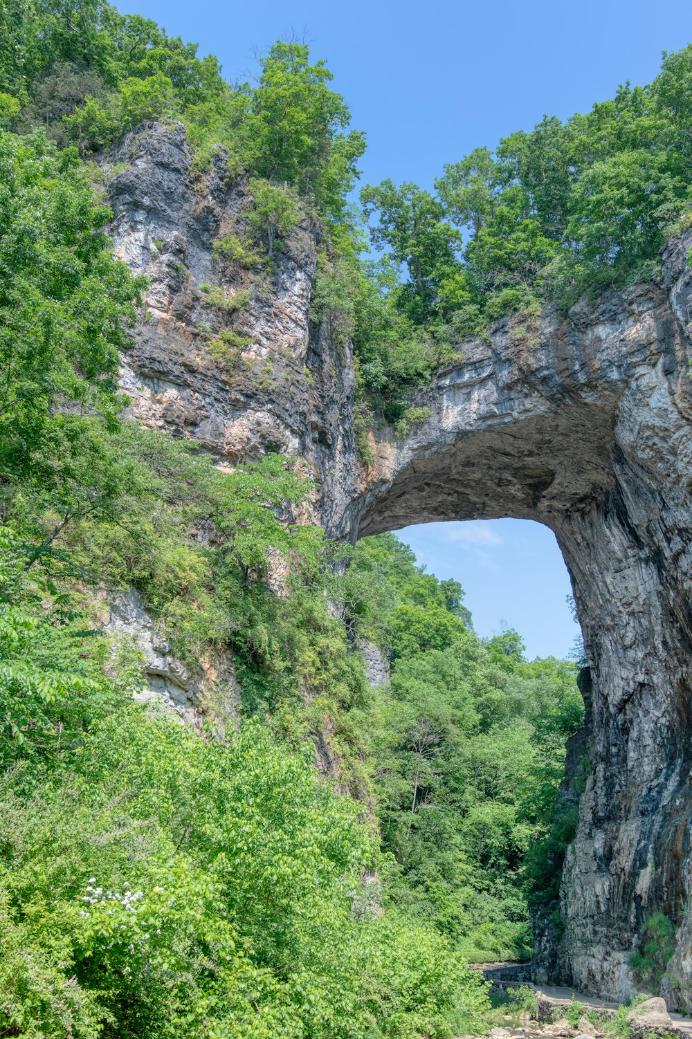 green and brown rock formation