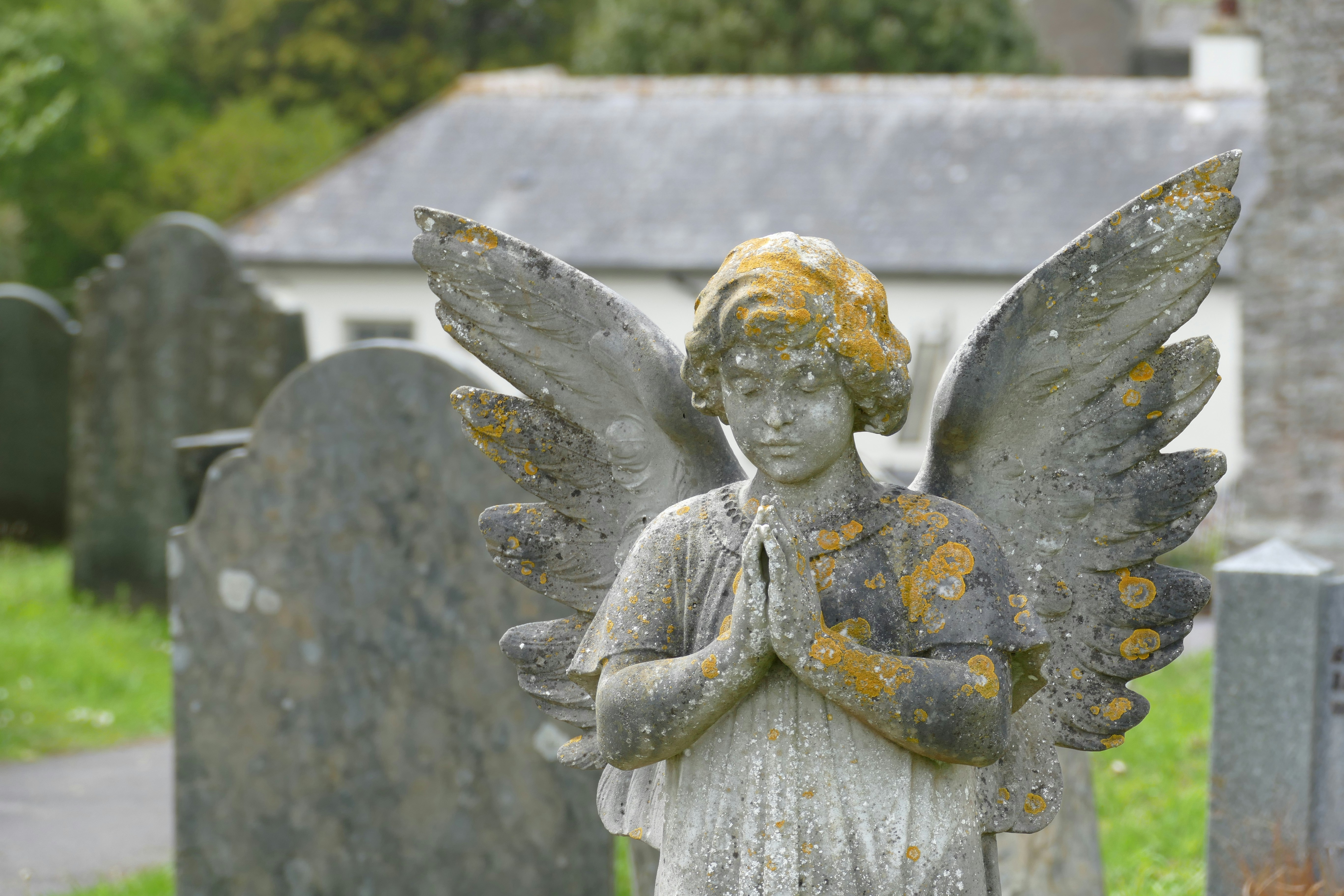 angel statue near green trees during daytime