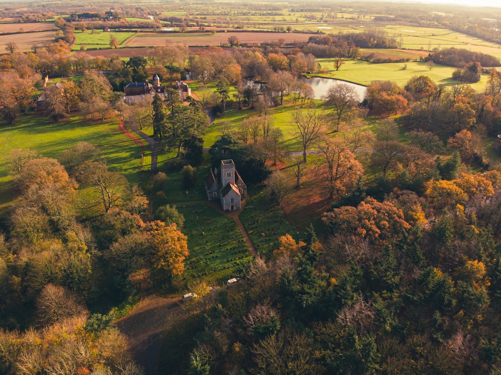 aerial view of green trees and grass field during daytime