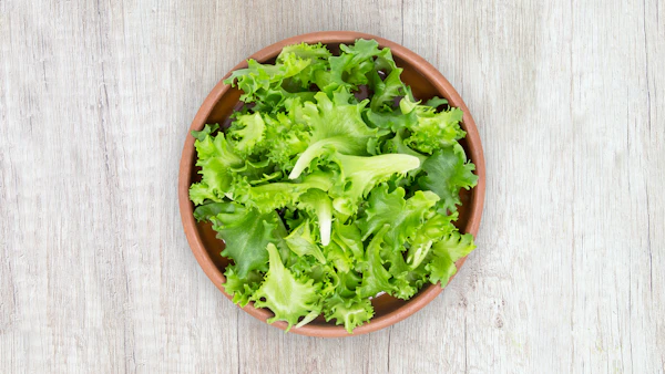 Crisp Romaine Lettuce