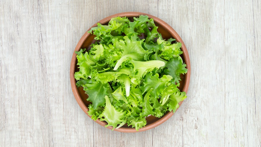 Arugula