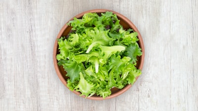 Romaine Lettuce