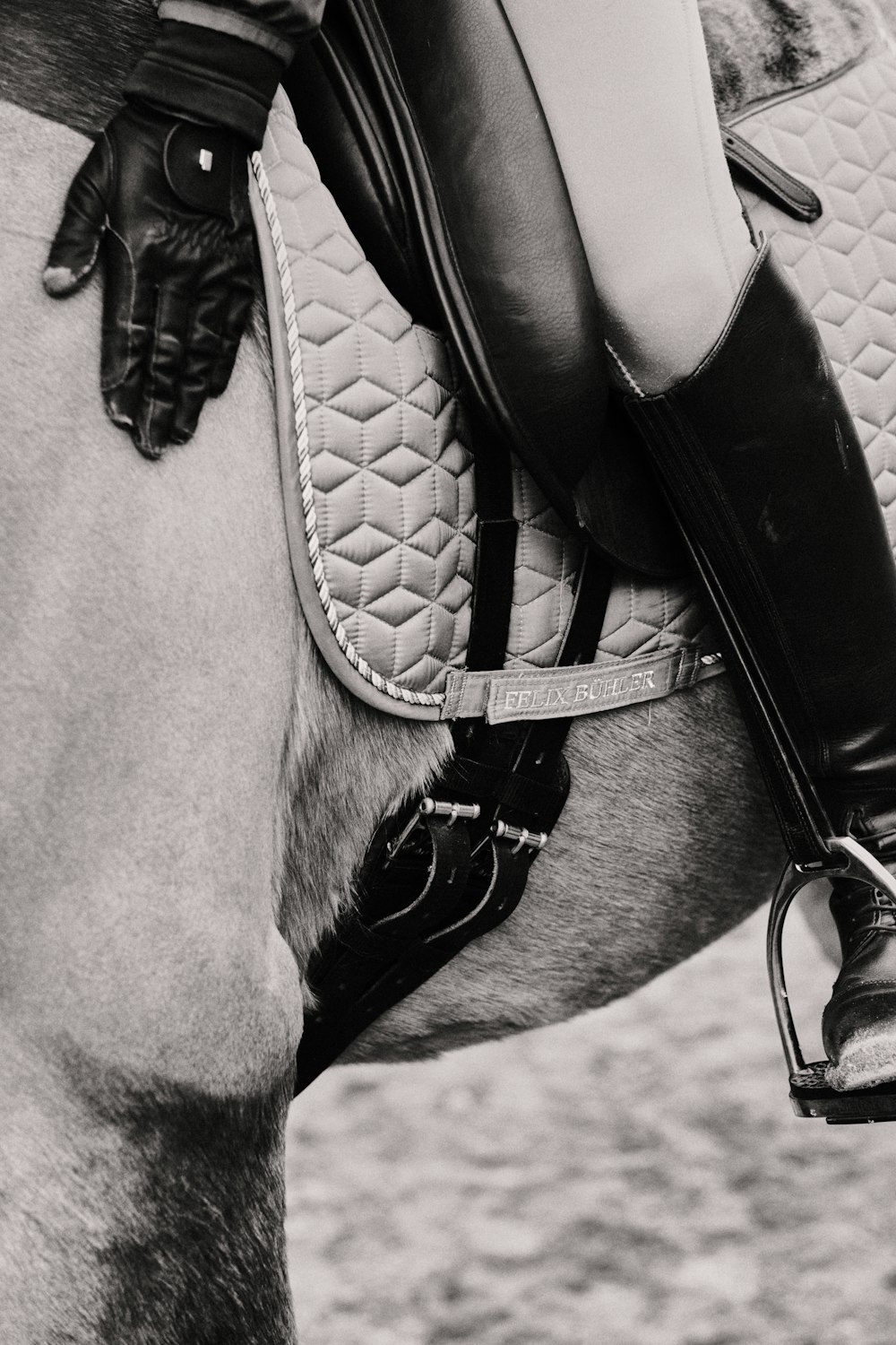 grayscale photo of horse with black leather saddle