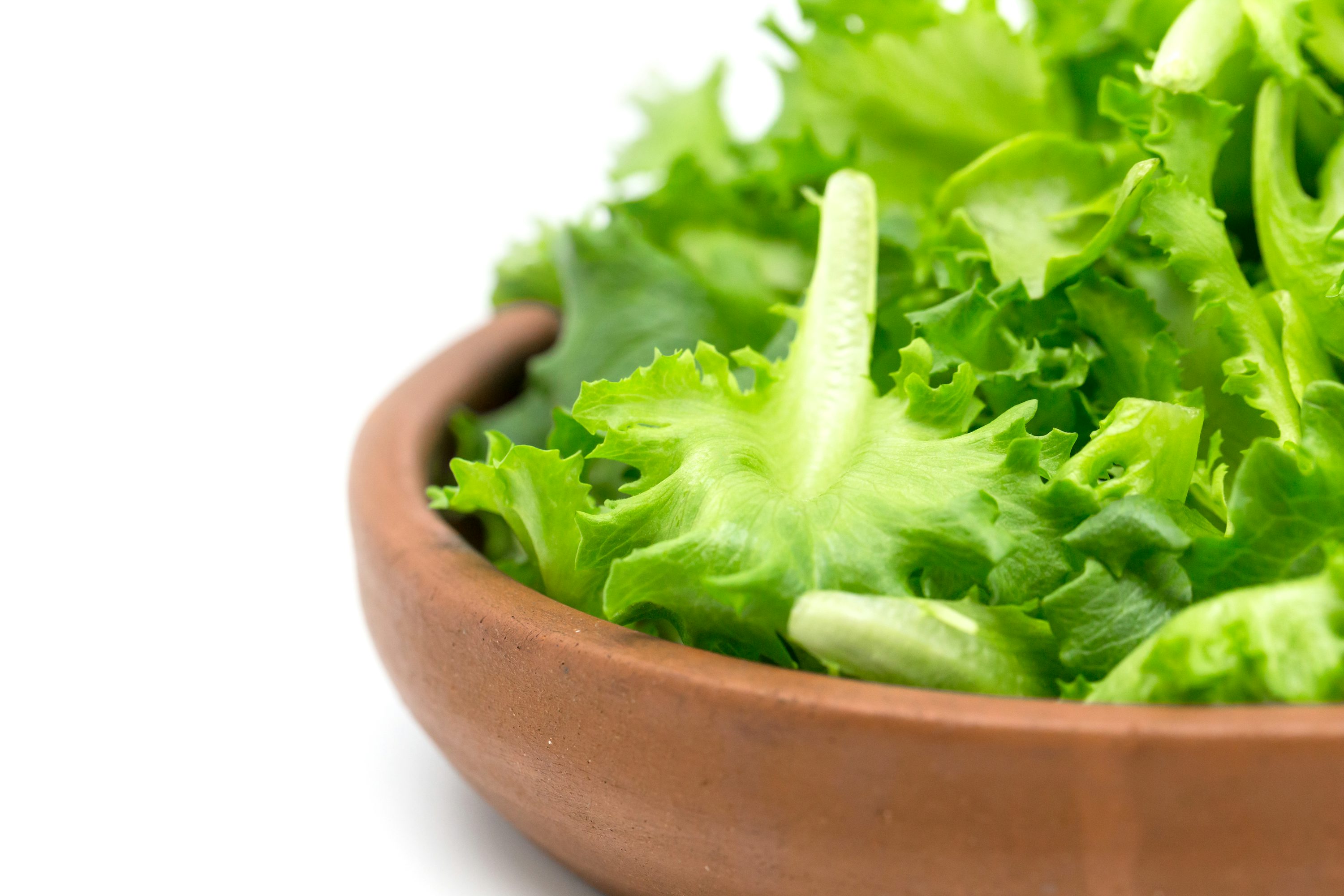 Fresh lettuce leaves grown in an indoor hydroponic farm.
