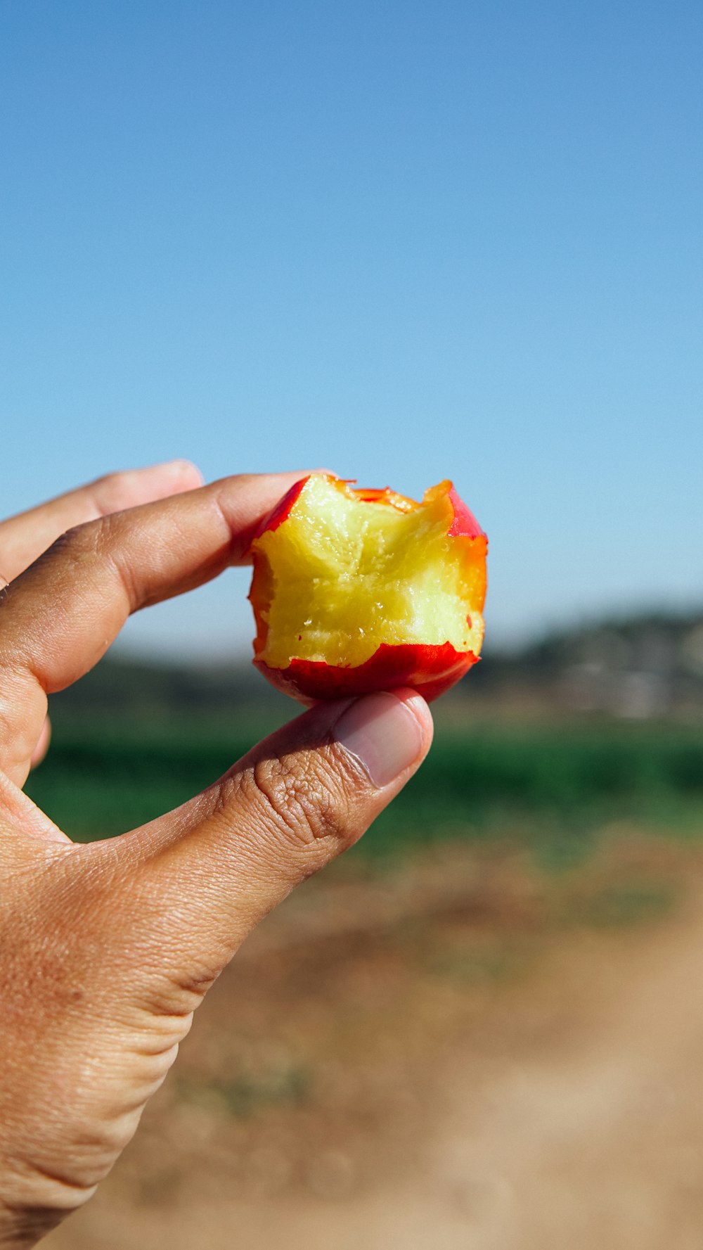 personne tenant une pomme jaune et rouge