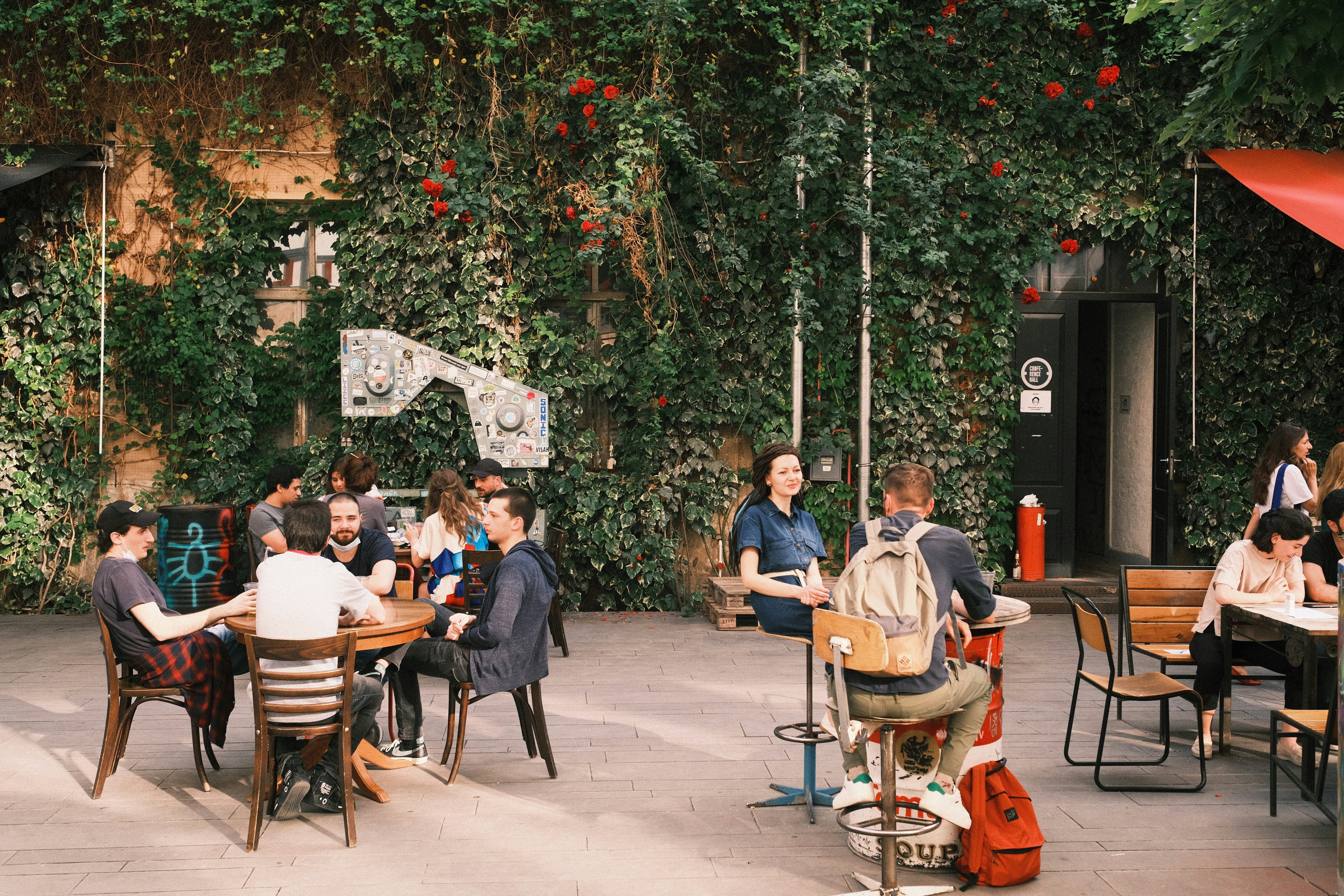 people sitting on chairs near green trees during daytime