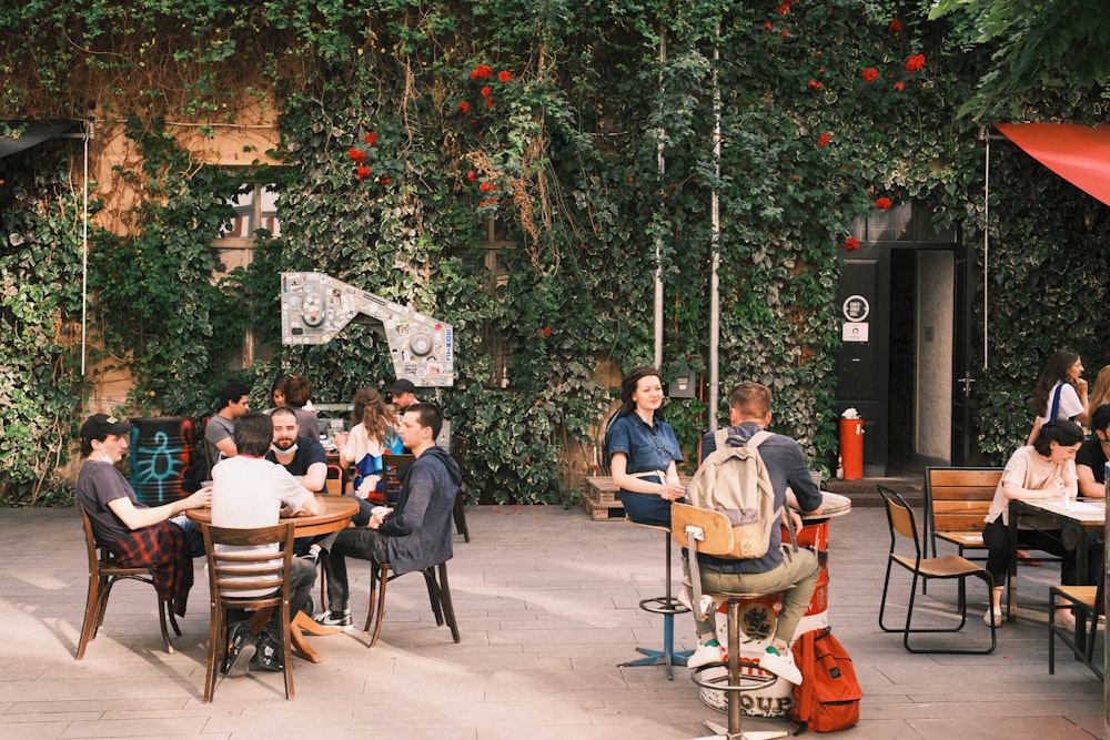 people sitting on chairs near green trees during daytime