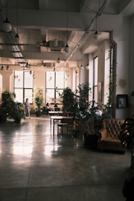 green potted plant on brown wooden table