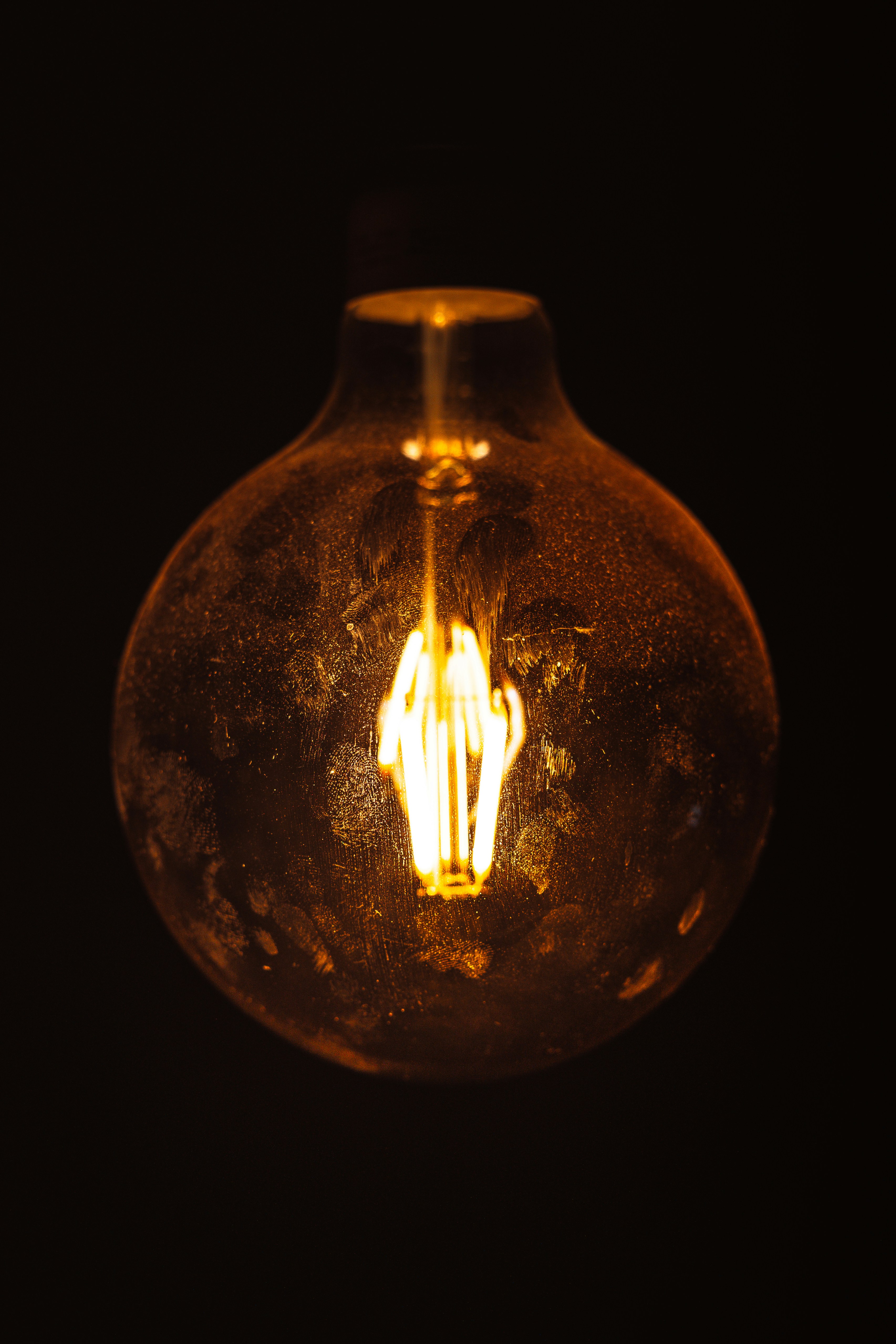 Photo by forbiddenmedia