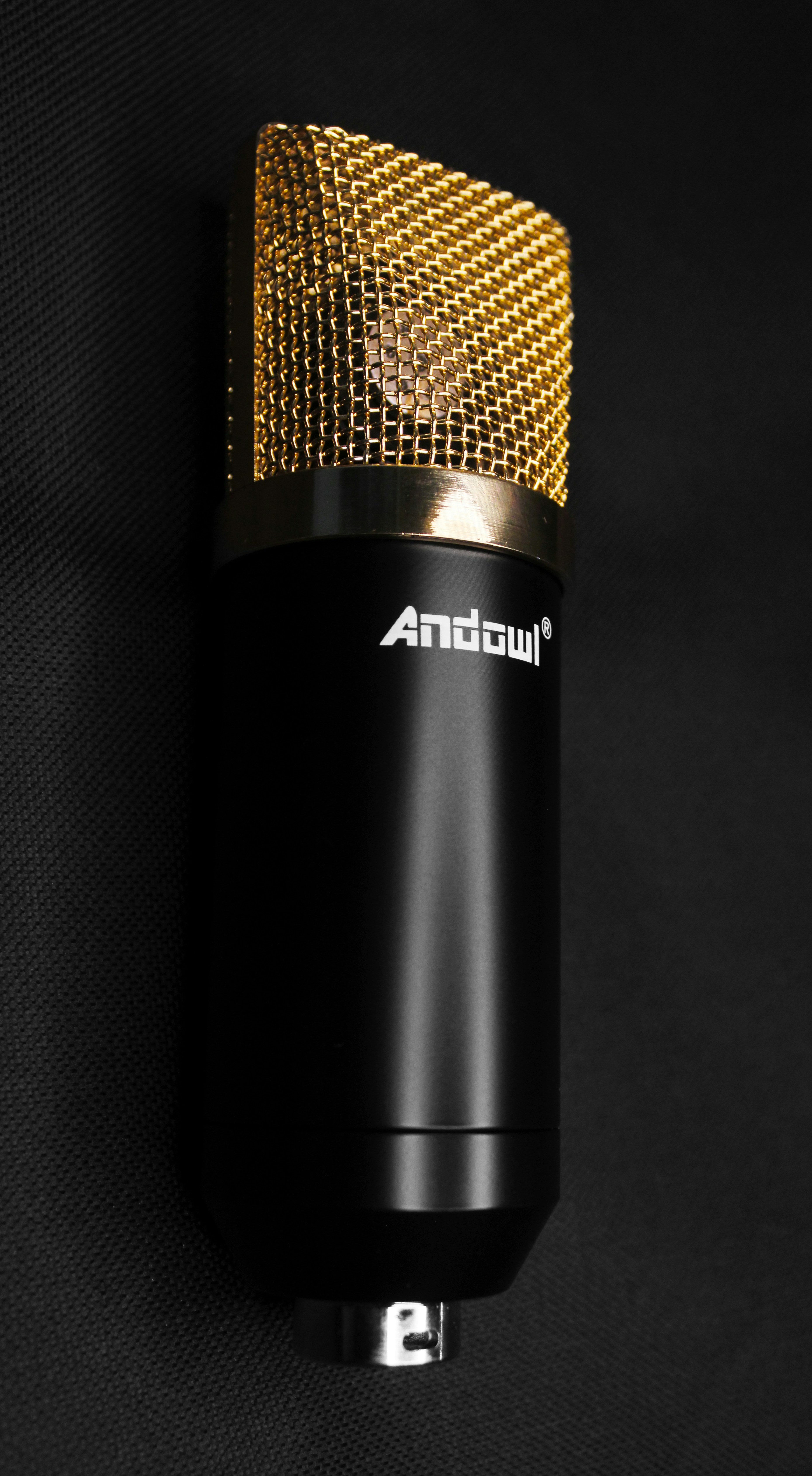 black and gold condenser microphone