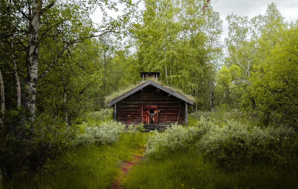 Maison en bois marron au milieu d’arbres verts