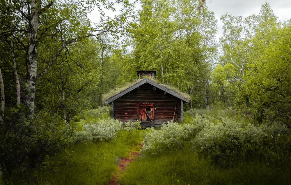 Casa de madera marrón en medio de árboles verdes