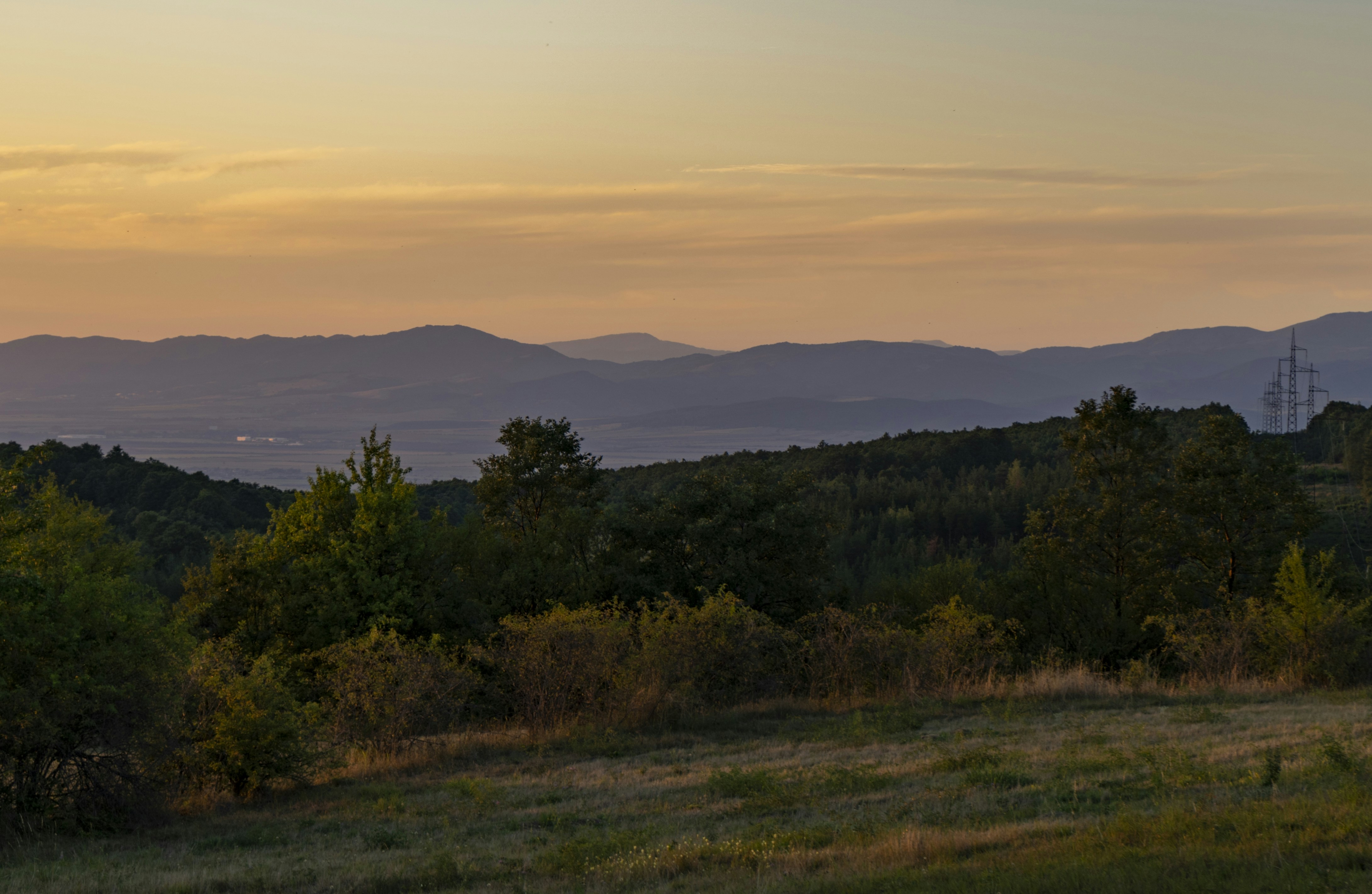 Photo by forbiddenmedia