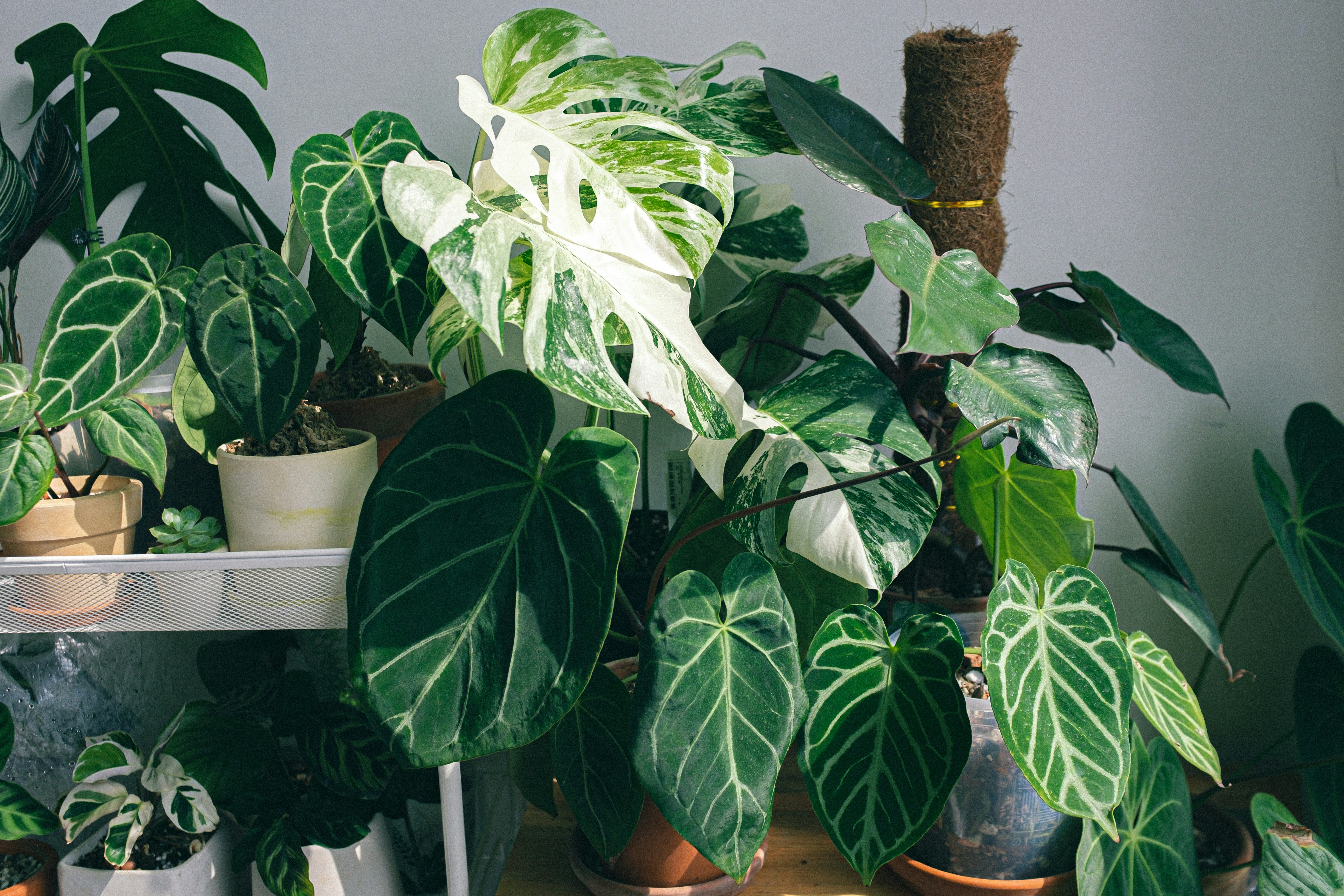 Photo by huyphan2602