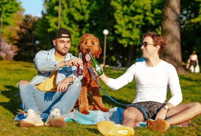 Two people are sitting on a blanket in a green park, toasting with drinks in their hands. A fluffy brown dog is sitting between them, also appearing to hold a bottle. The scene conveys a relaxed and joyful outdoor setting with vibrant green trees in the background.