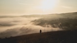 A vibrant scene of the young man standing atop a hill, looking out over a magical forest at dawn.
