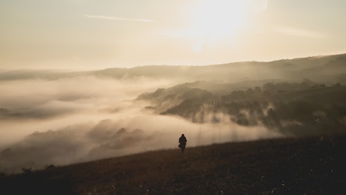 A vibrant scene of the young man standing atop a hill, looking out over a magical forest at dawn.