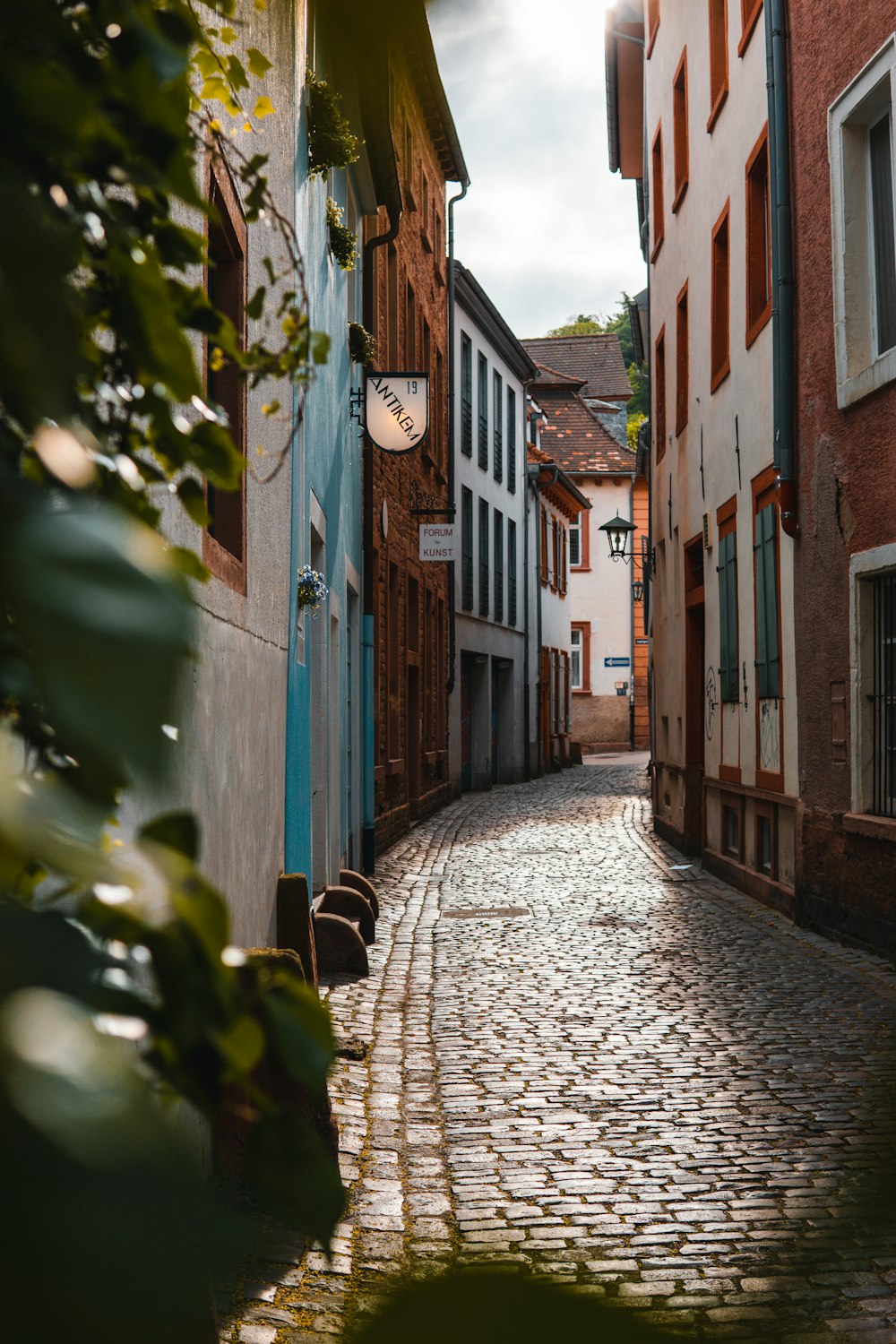 empty street between concrete houses during daytime