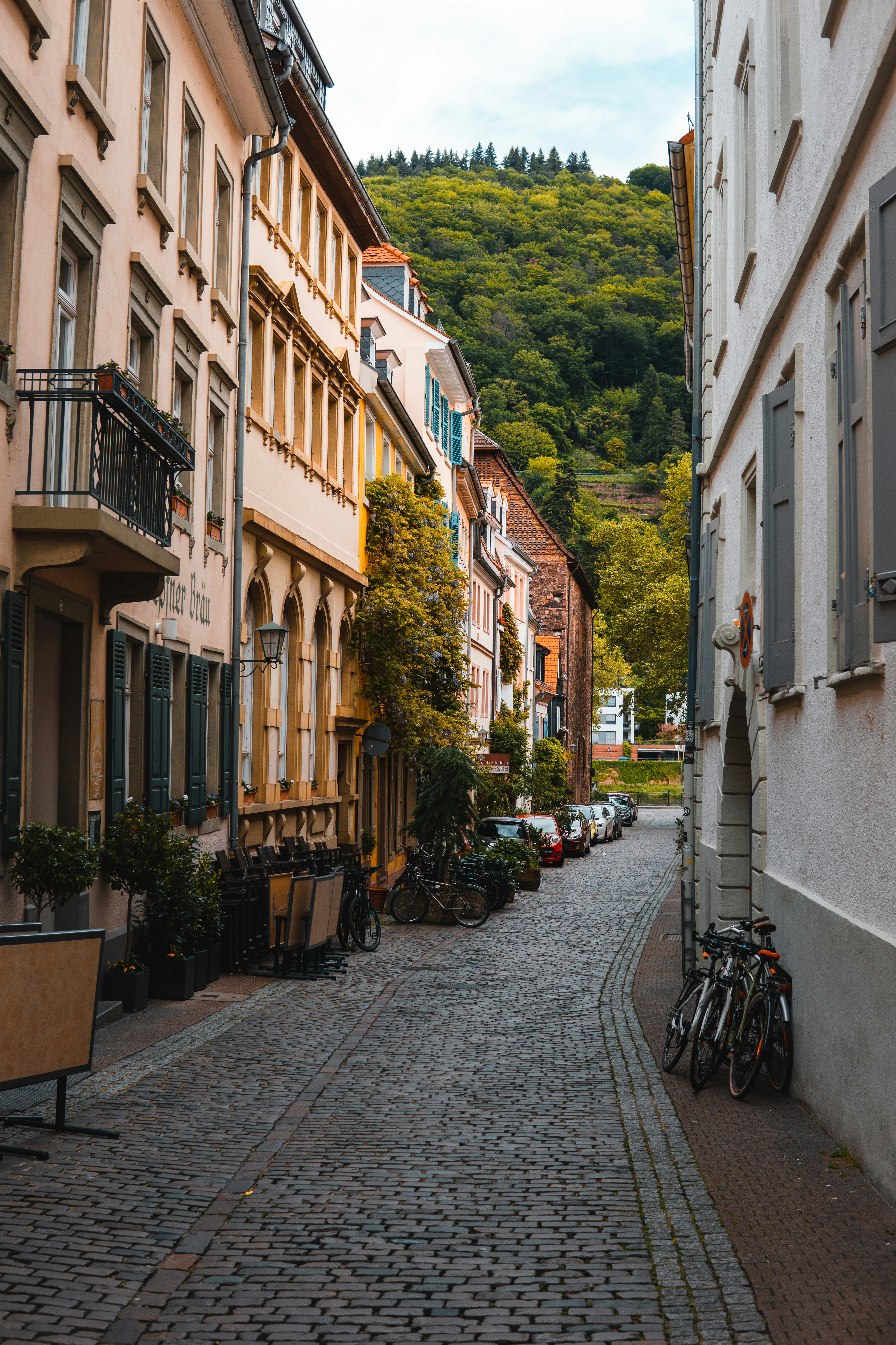 Heidelberg – Geography & Spatial Structure