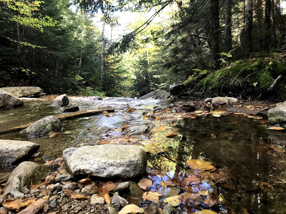 gray rocks on river during daytime