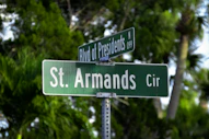 a green street sign sitting under a lush green tree