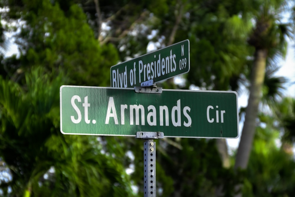 a green street sign sitting under a lush green tree