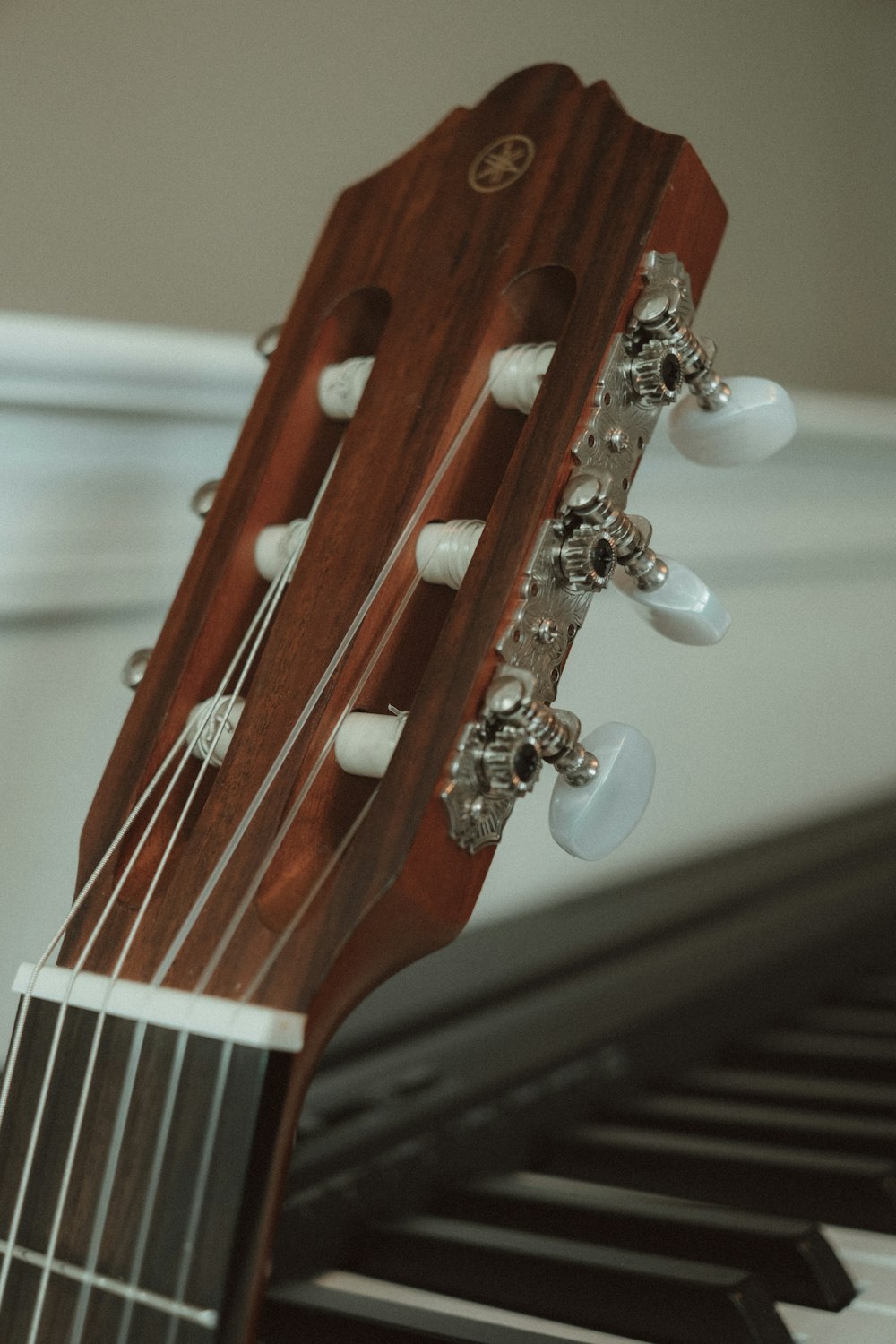 brown acoustic guitar in close up photography