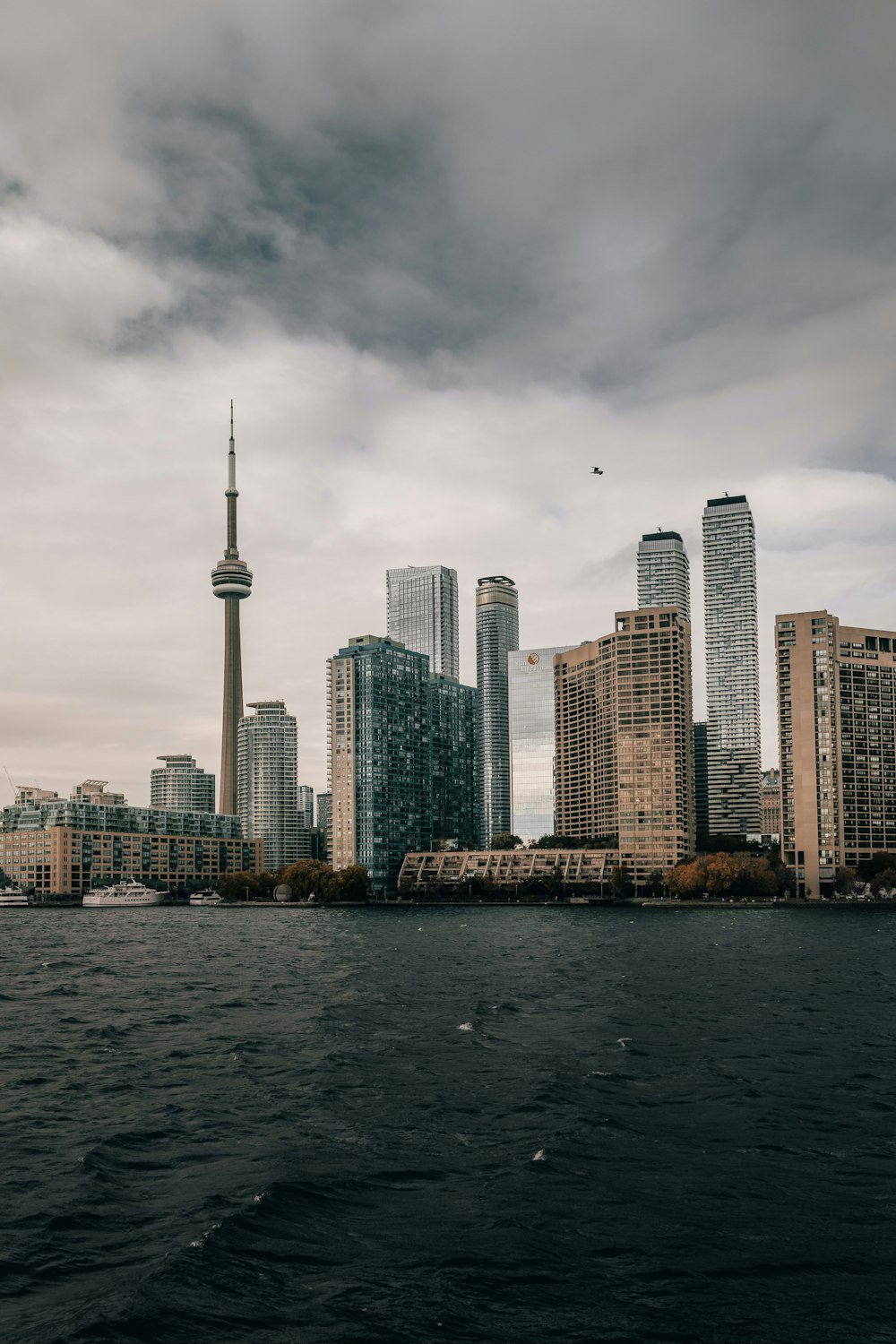 city skyline across body of water during daytime