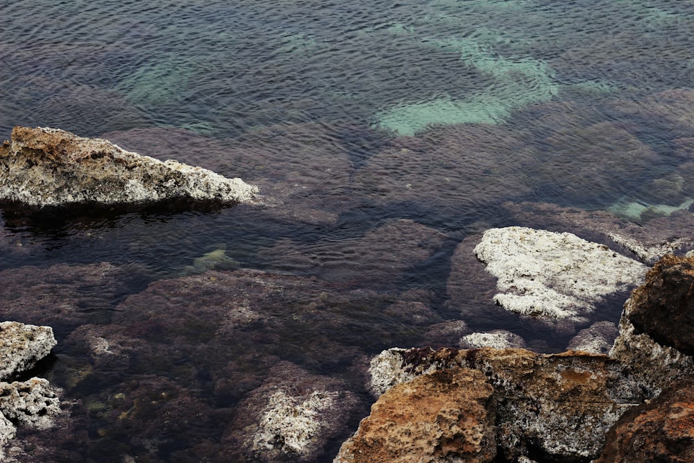 brown rocky shore with blue water