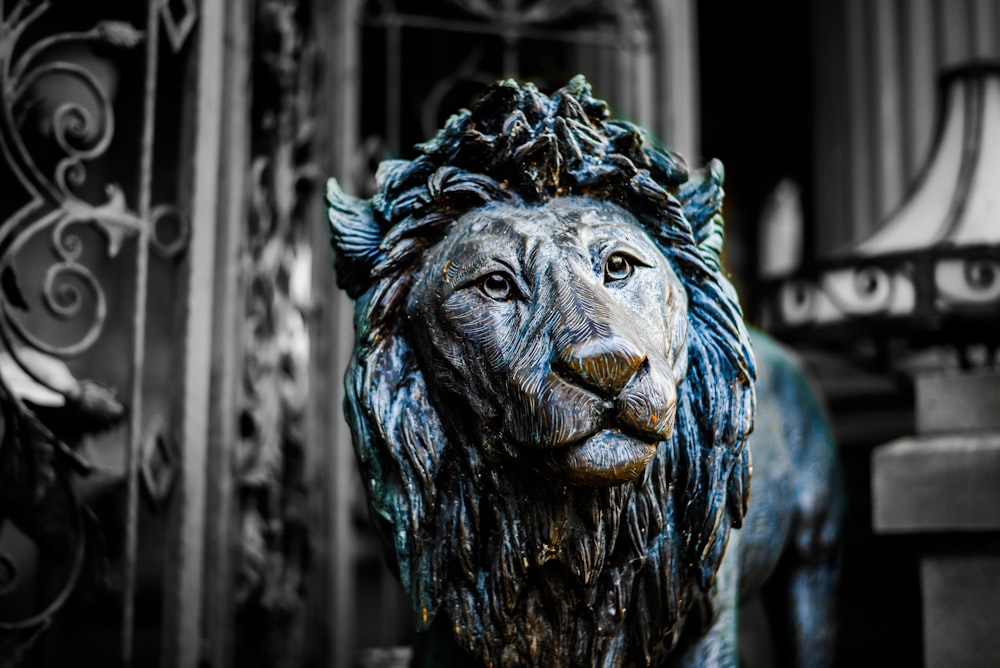 black lion head bust on brown wooden wall