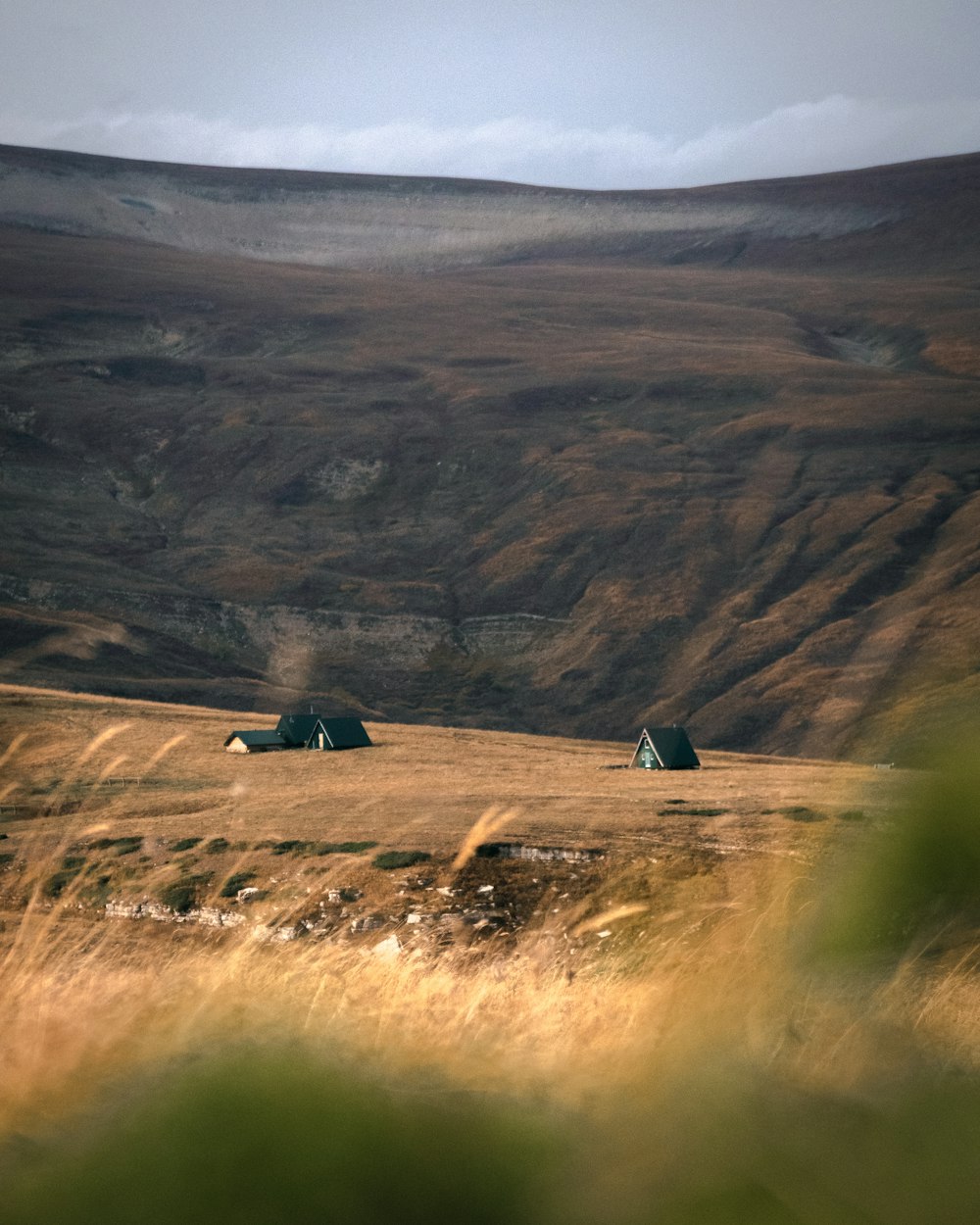 blue tent on brown grass field during daytime