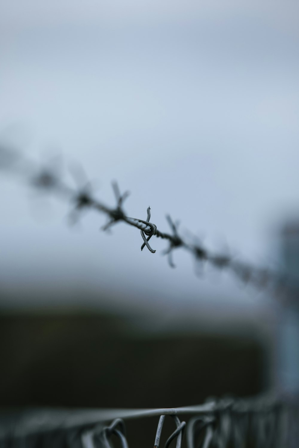 water droplets on gray wire