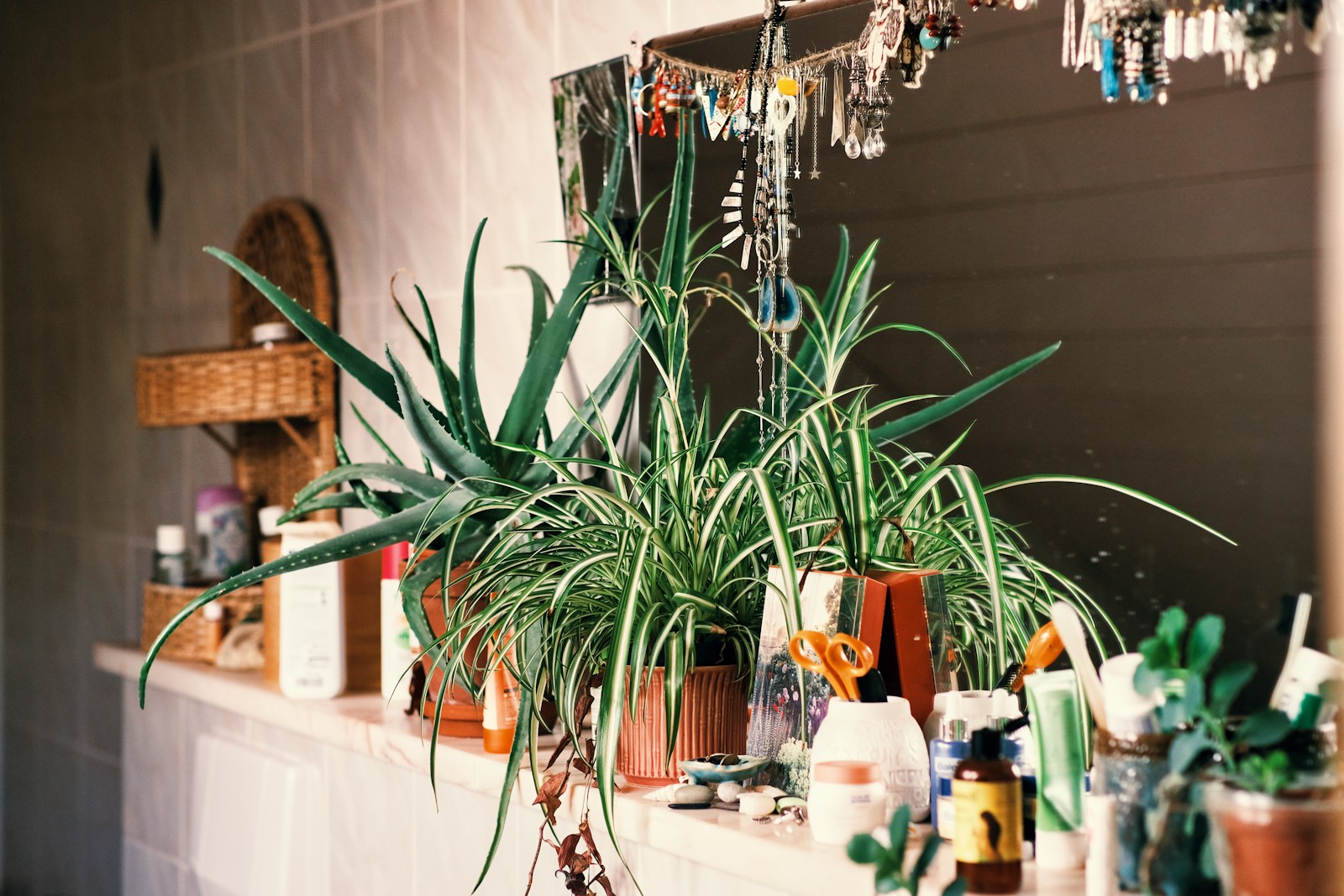 real apartment bathroom with potted plants and woven baskets