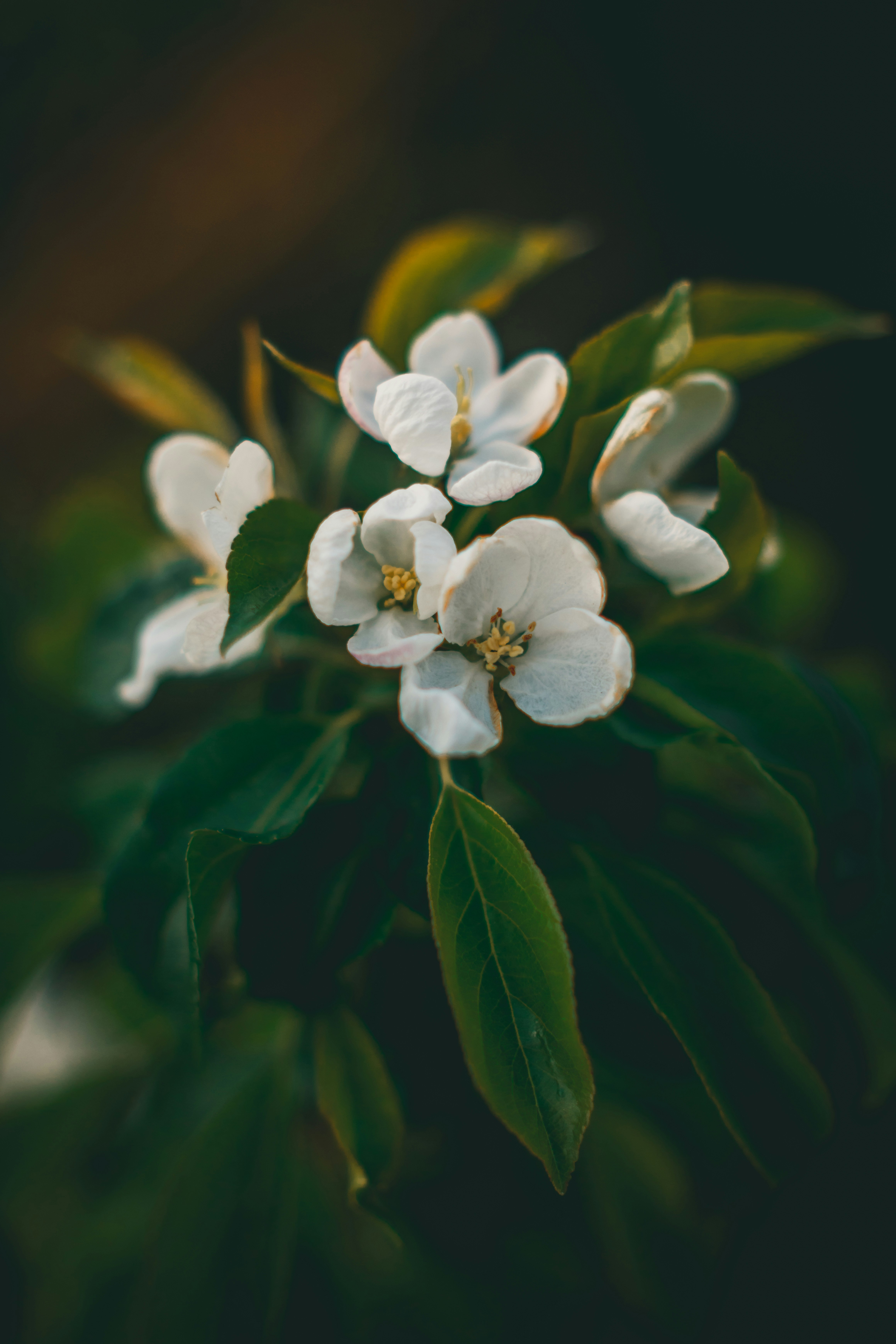 Photo by raimondklavins