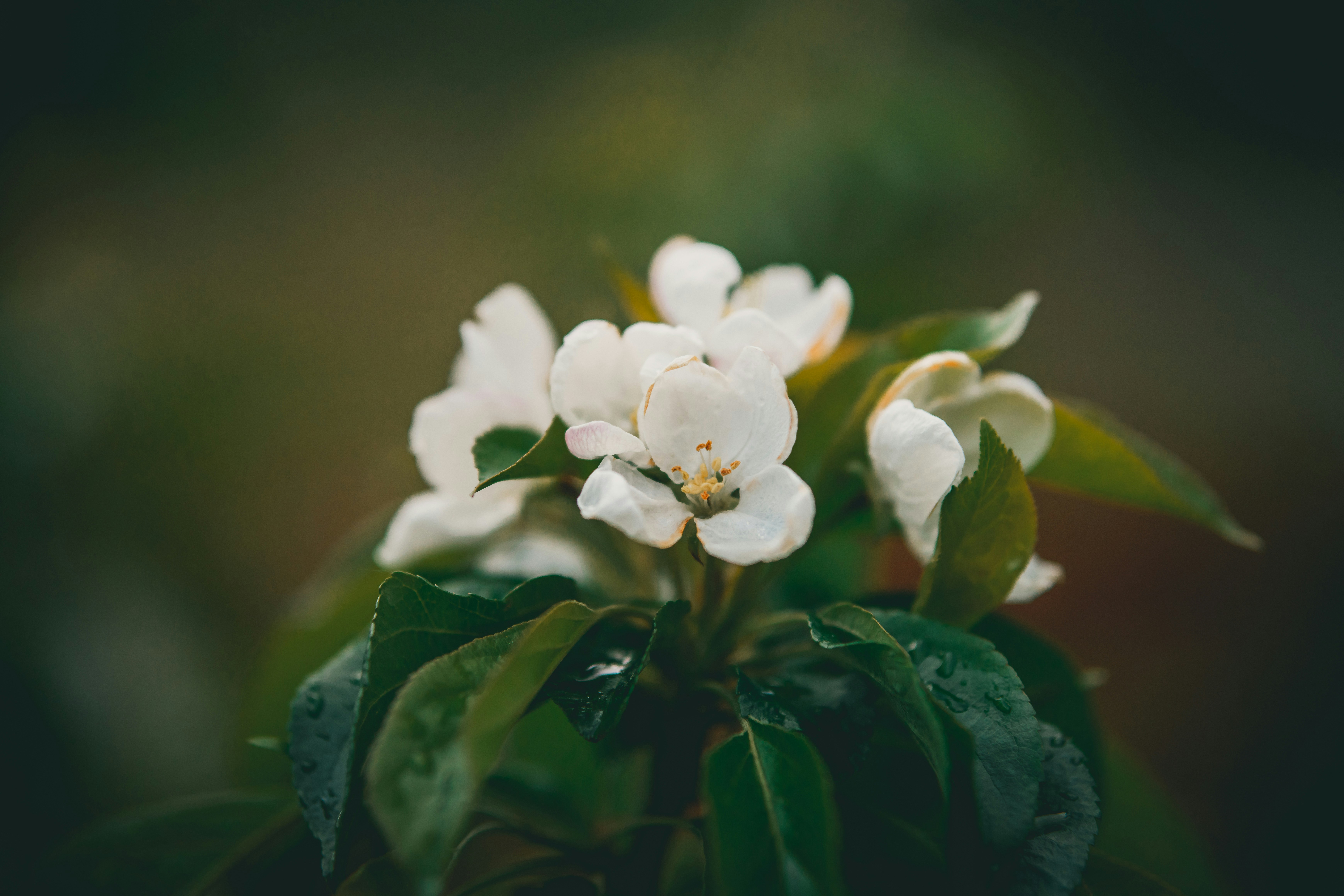 Photo by raimondklavins