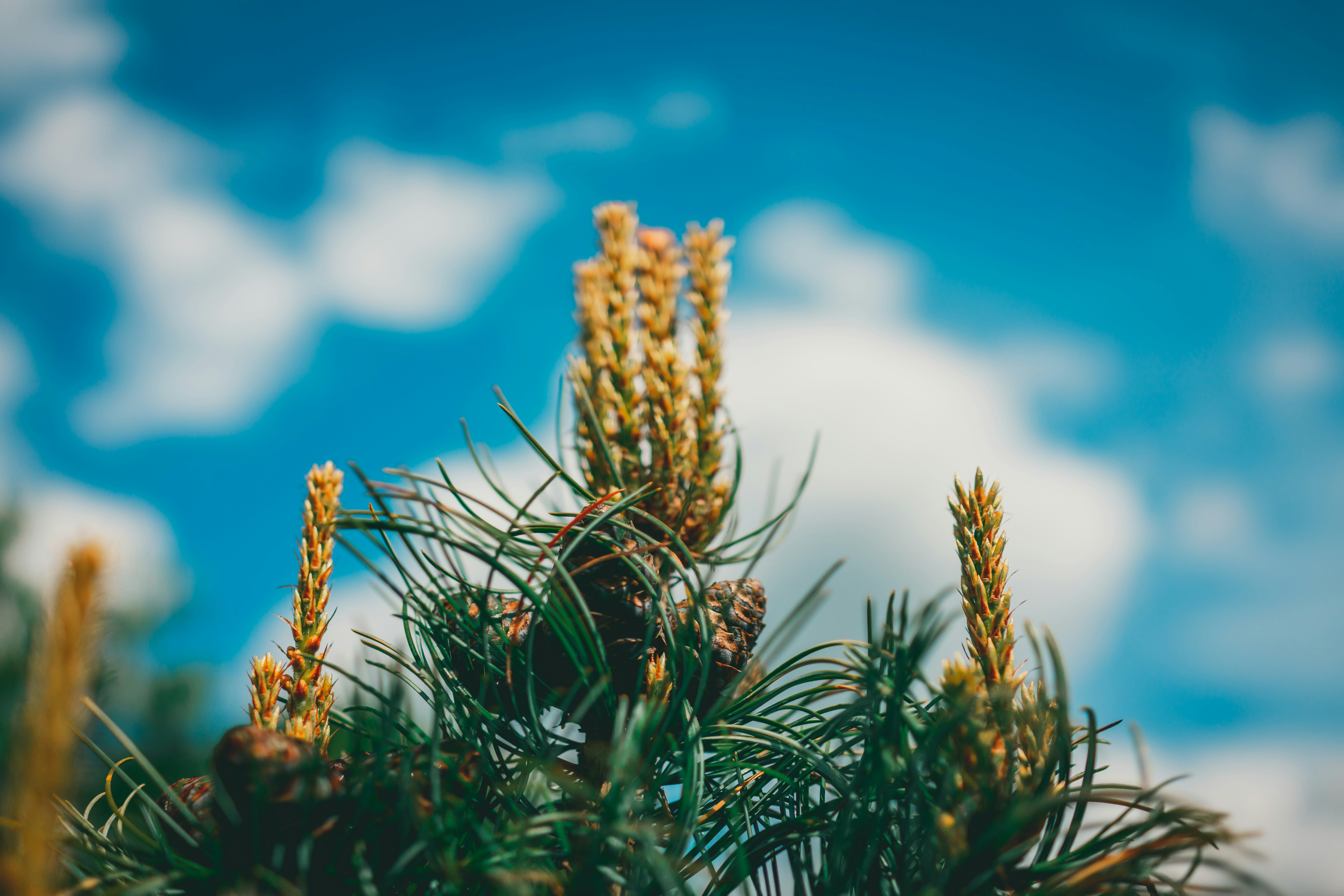 Photo by raimondklavins